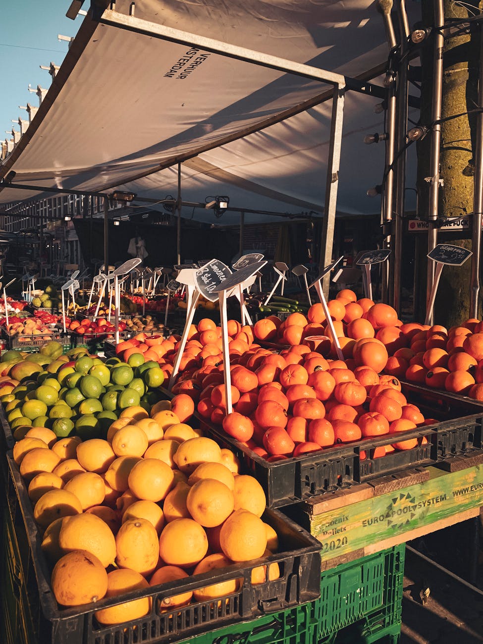 What This Page Helps You Decide in Amsterdam, Netherlands