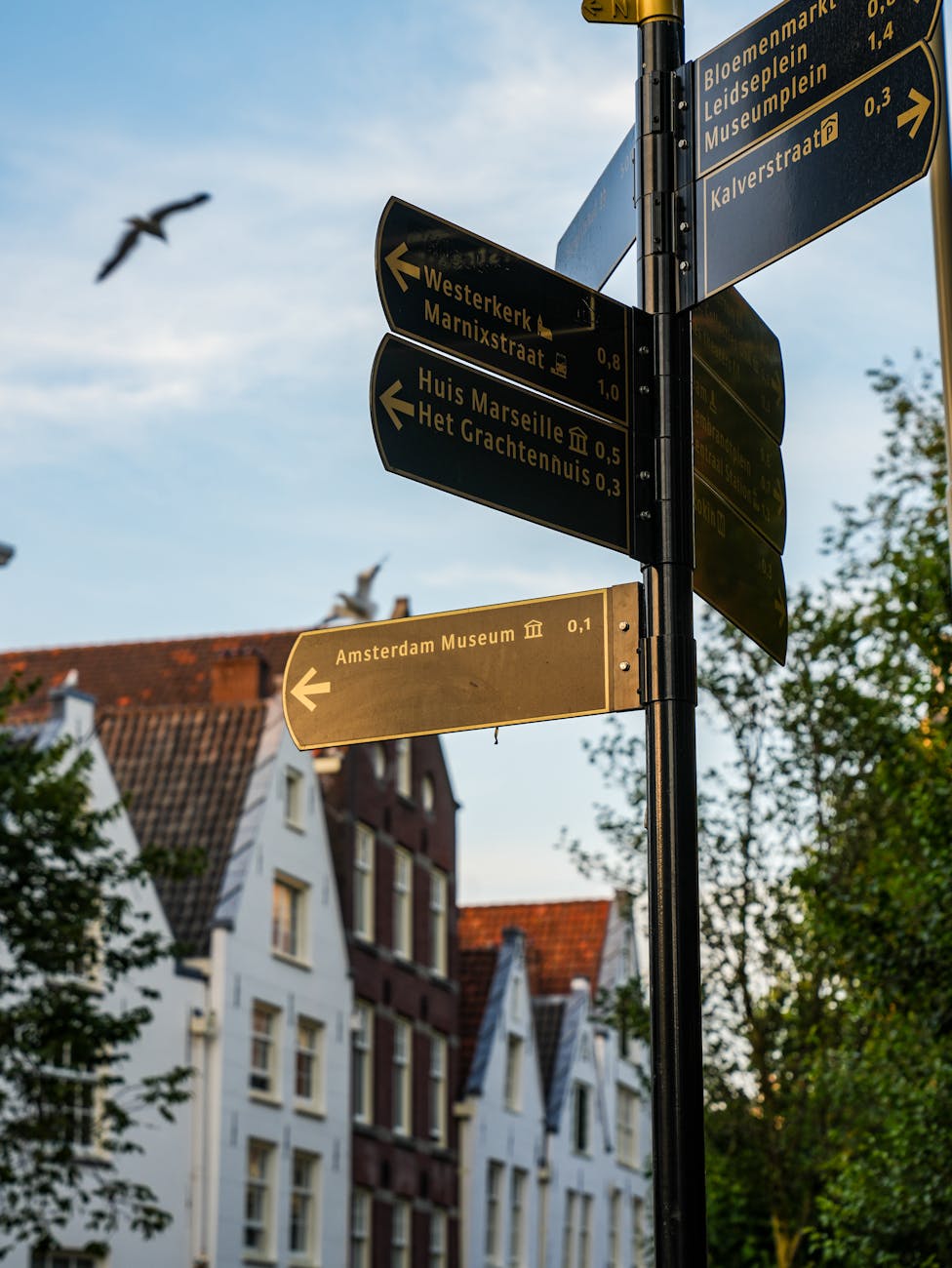 What This Page Helps You Decide in Amsterdam, Netherlands