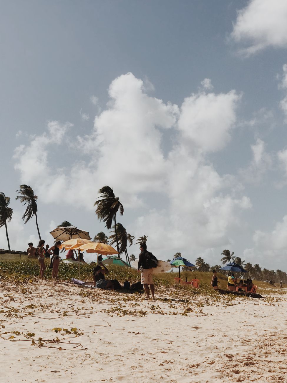 Why Visit in Aracaju, Brazil