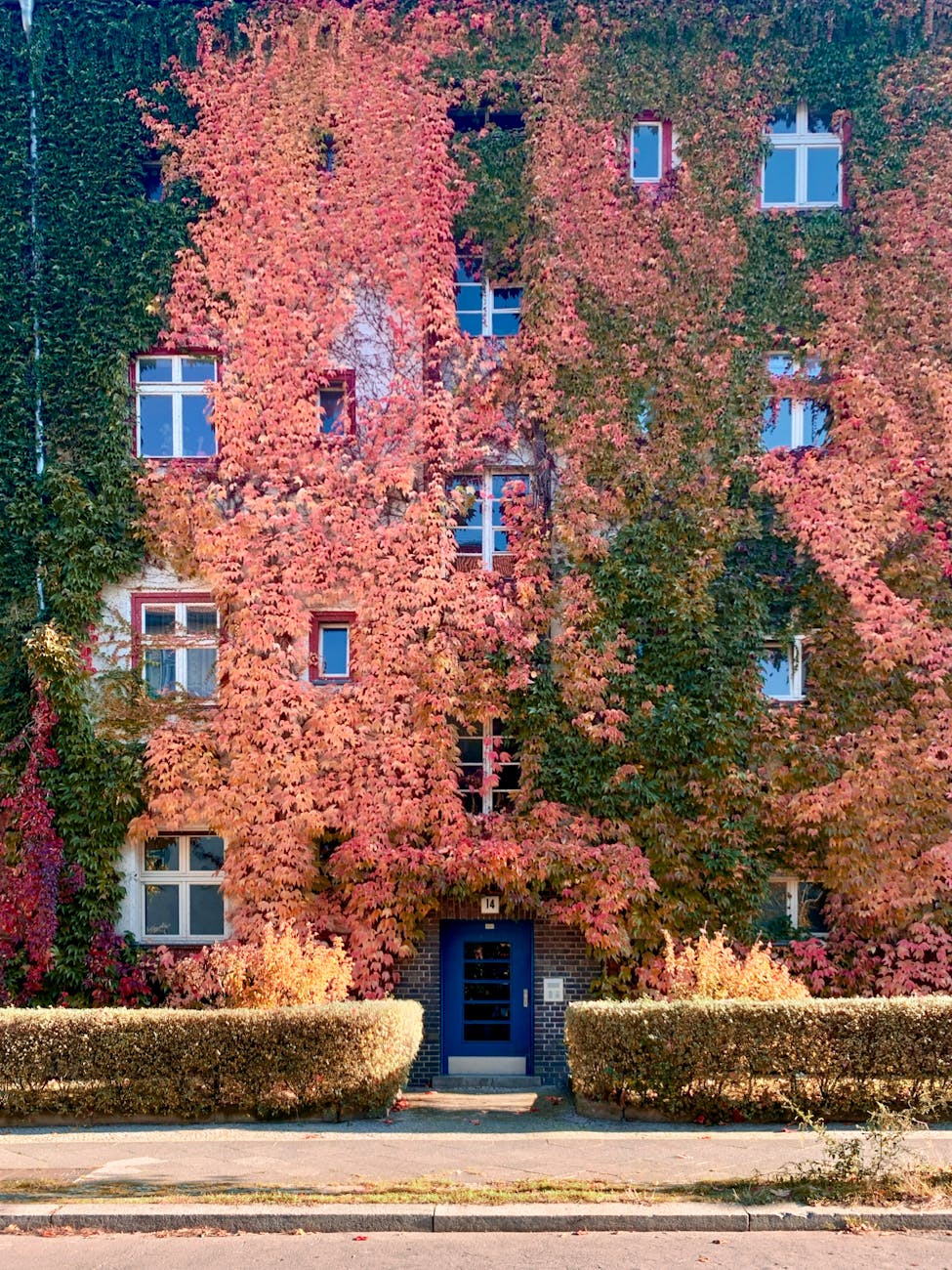 How to Choose Well in Berlin, Germany