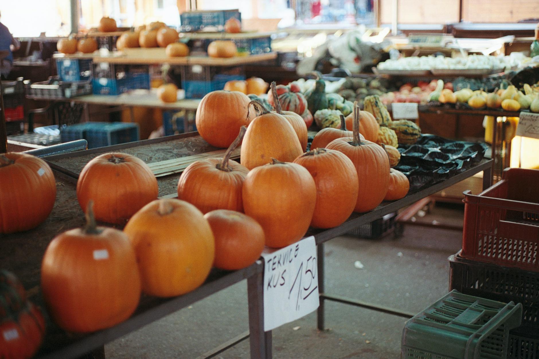 Responsible and Local-First Tips in Bratislava, Slovakia