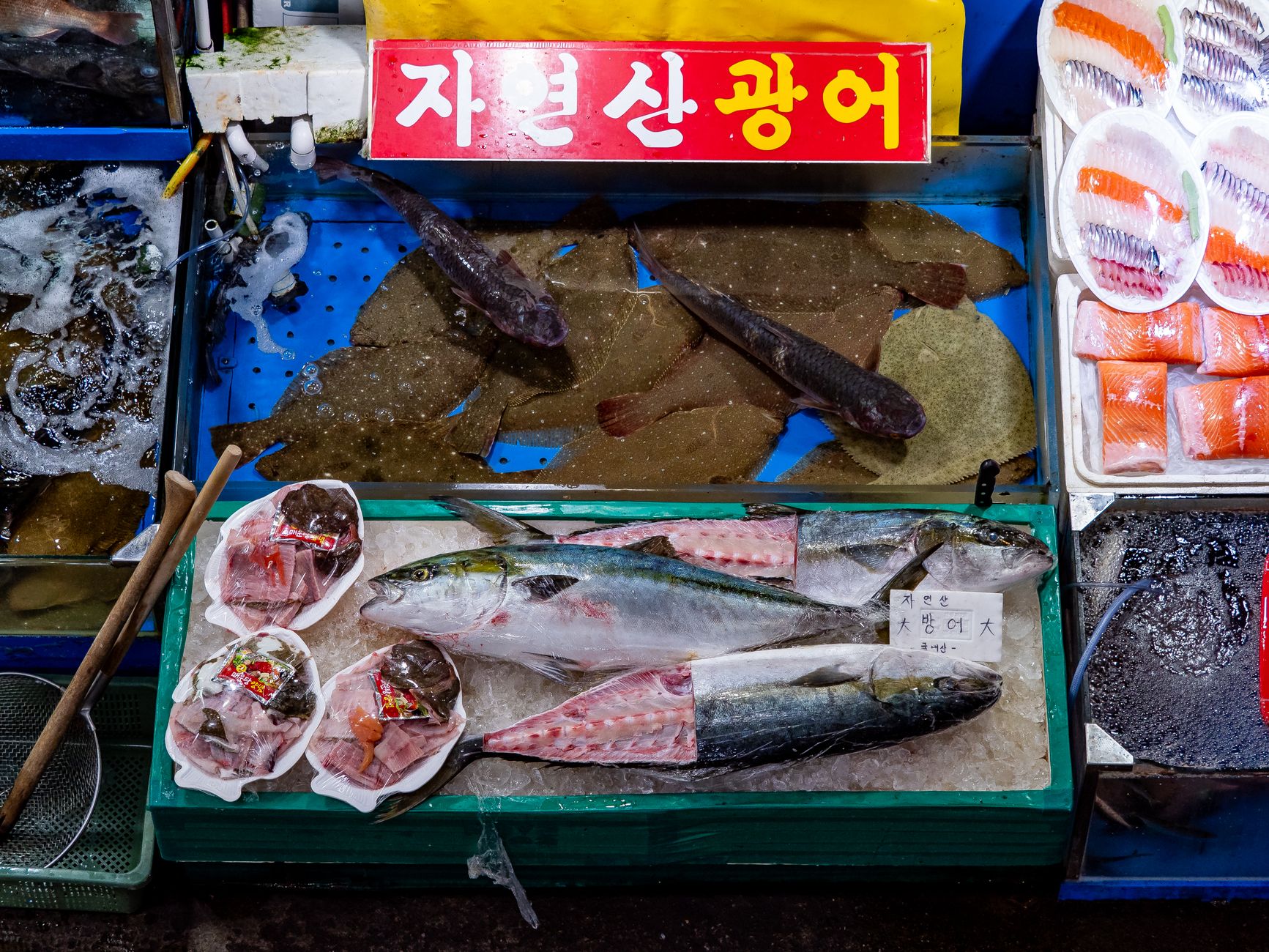 Best Local Experiences in Busan, South Korea