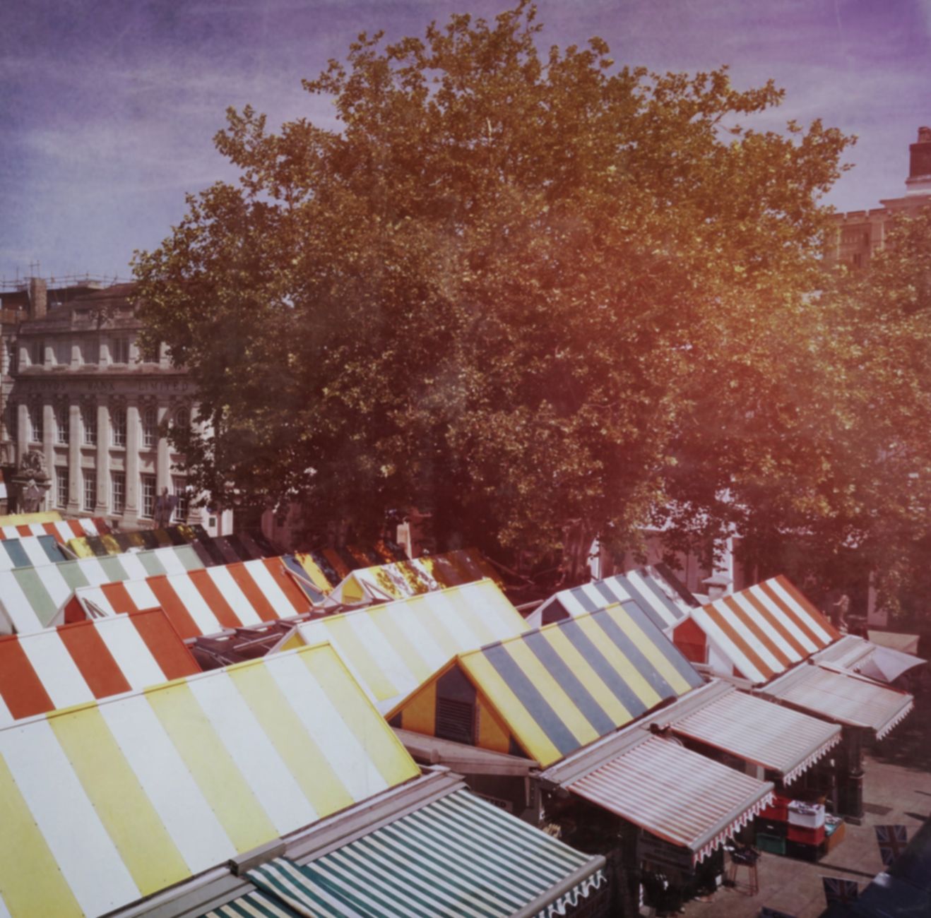 Best Local Experiences in Cambridge, United Kingdom
