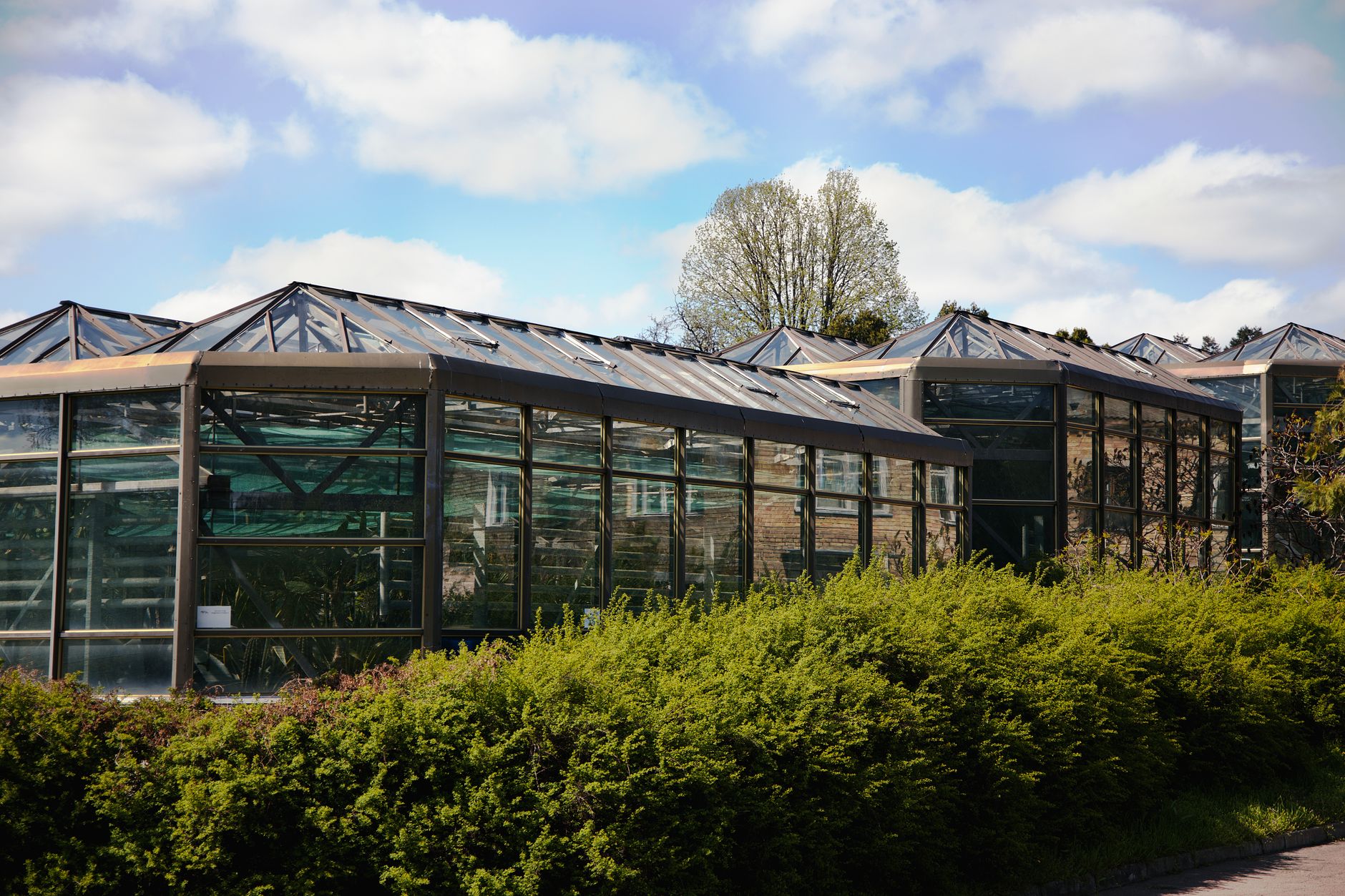 Day 2 in Cambridge, United Kingdom