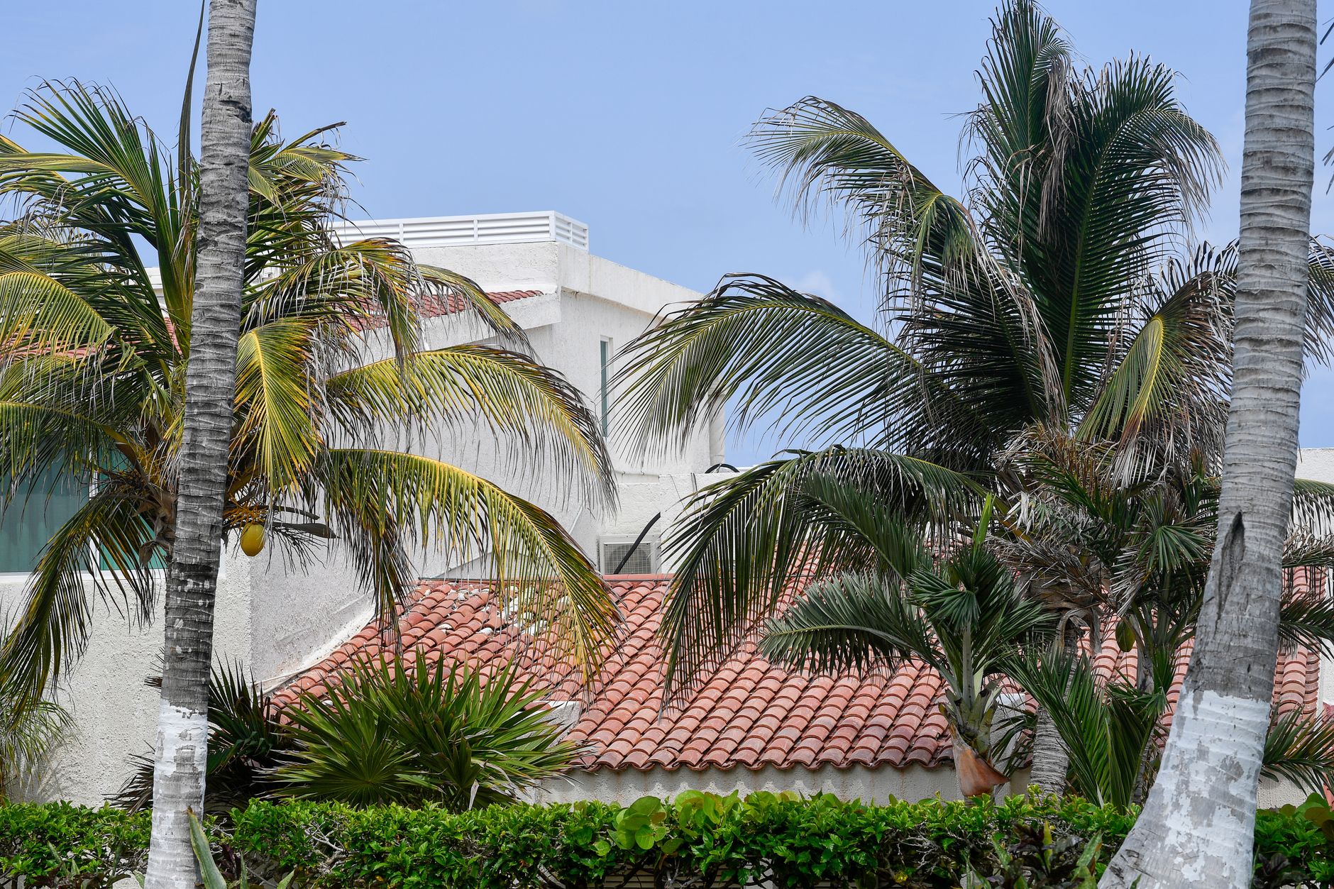 How to Choose Well in Cancun, Mexico