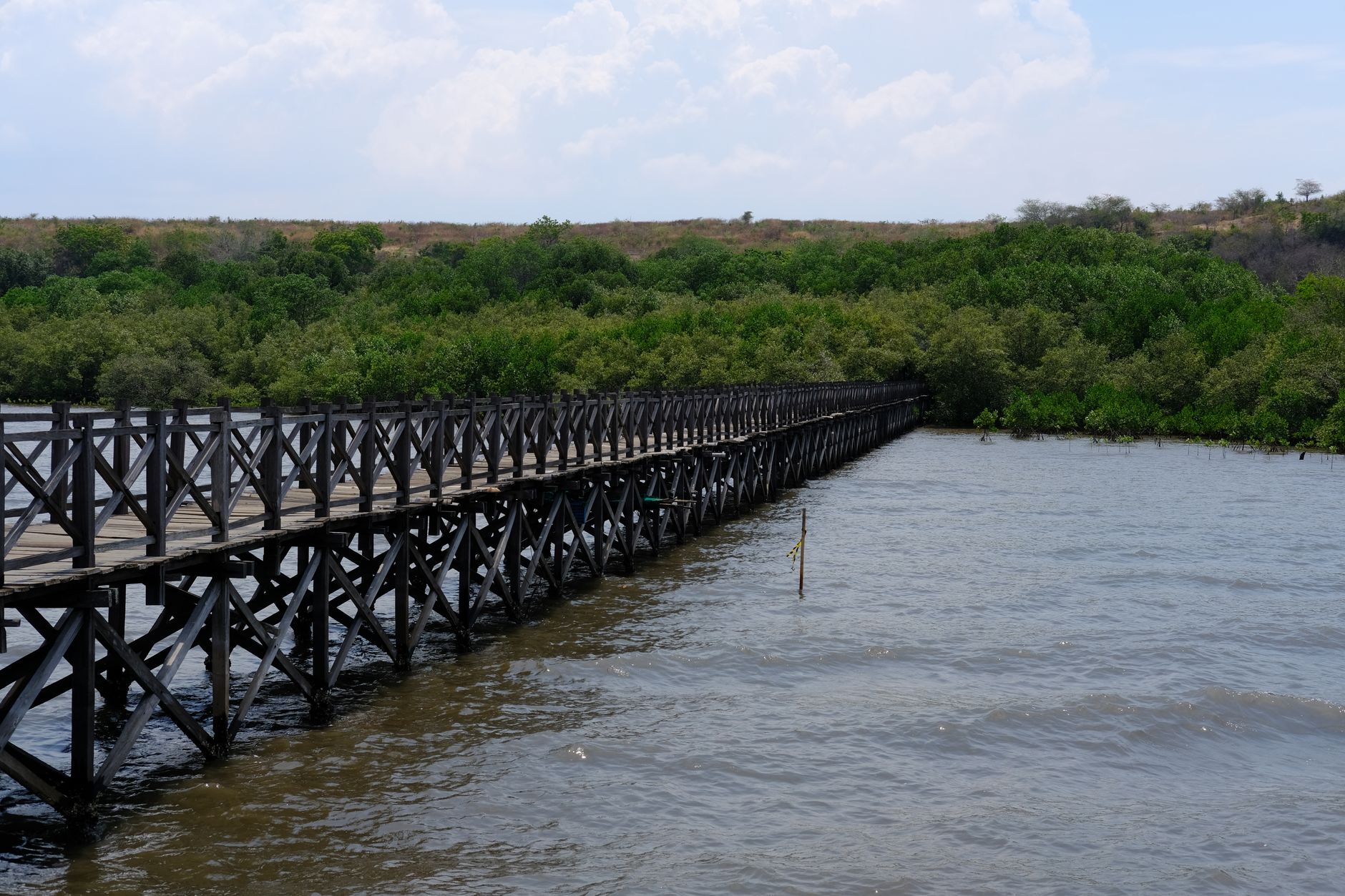 Best Local Experiences in Chesapeake, United States