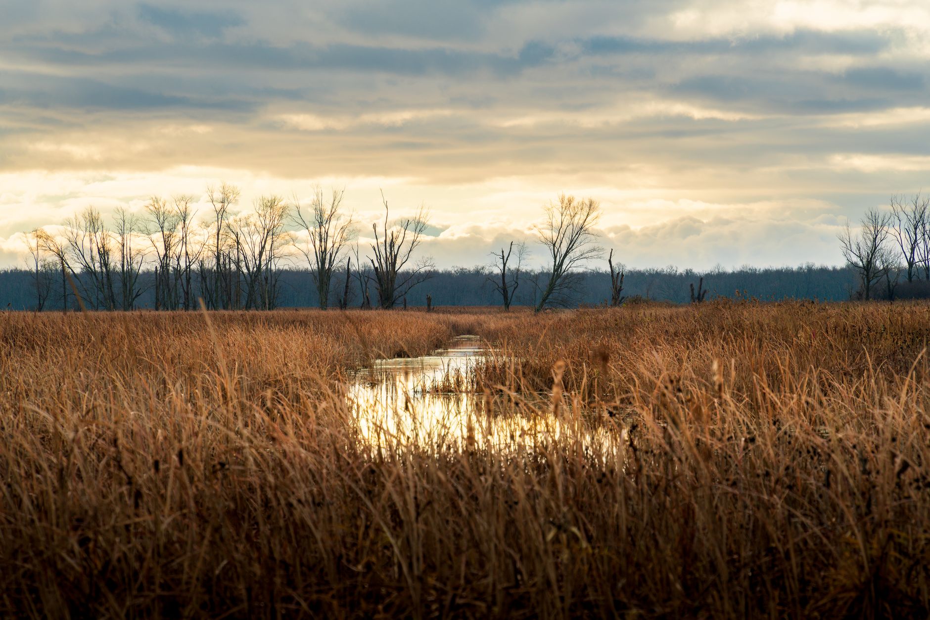 Day 2 in Chesapeake, United States