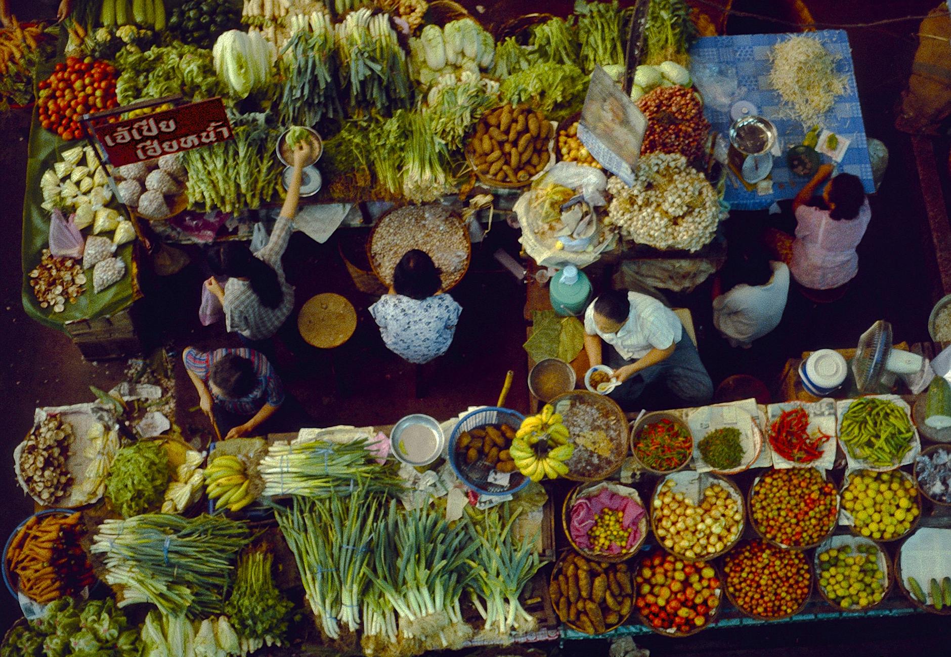 Responsible and Local-First Tips in Chiang Mai, Thailand
