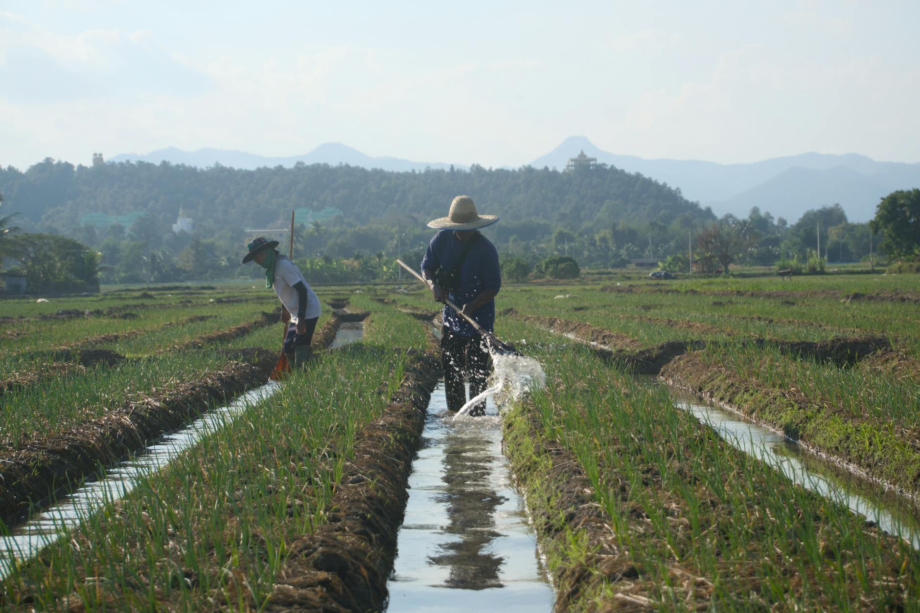 Responsible and Local-First Tips in Chiang Mai, Thailand