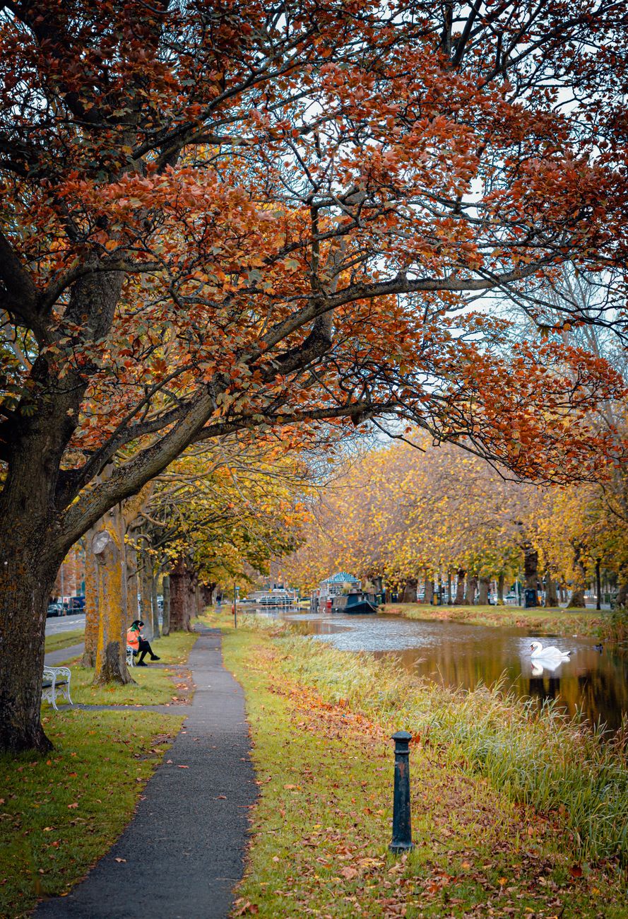 How to Choose Well in Dublin, Ireland