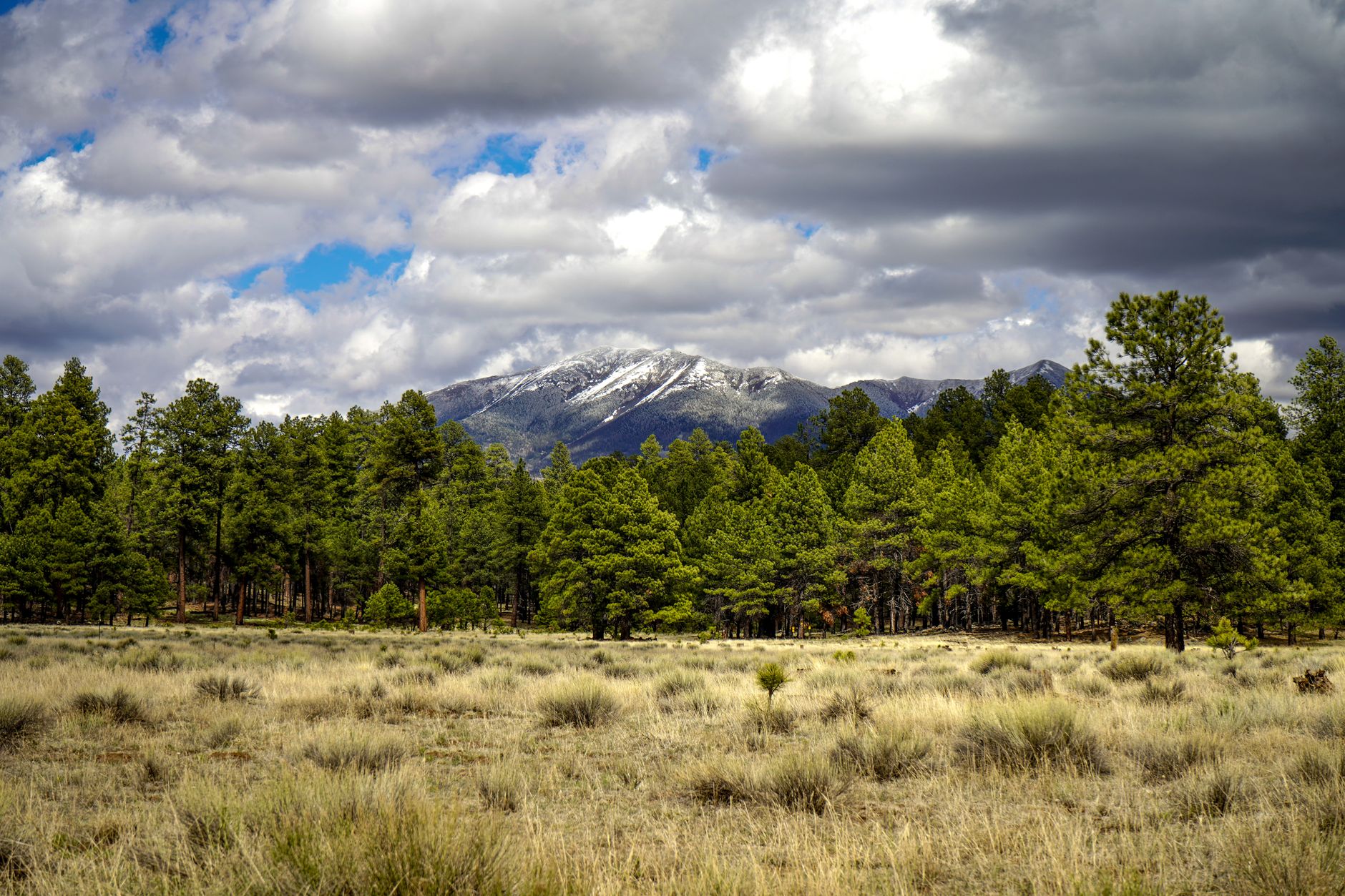 Flagstaff, United States