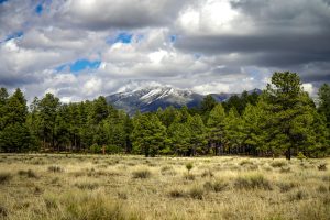 Flagstaff, United States