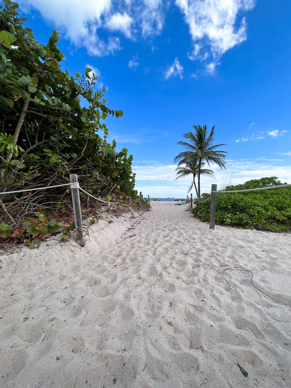 Local Context in Fort Lauderdale, United States