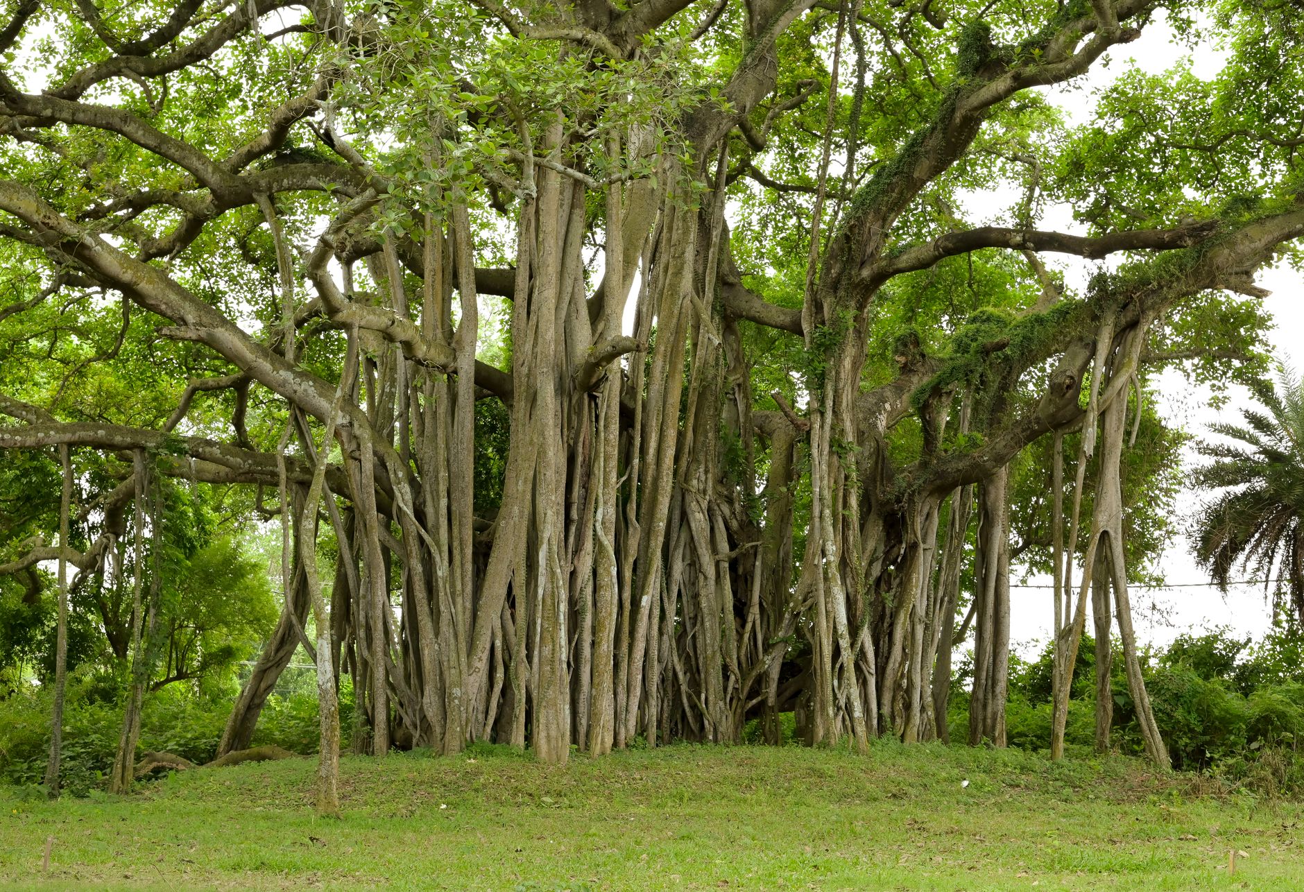 Why Visit in Fort Myers, United States