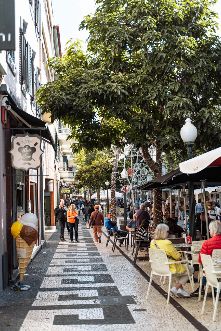 What This Page Helps You Decide in Funchal, Portugal