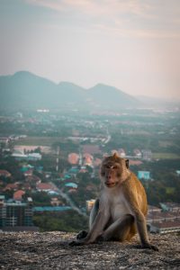 Hua Hin, Thailand