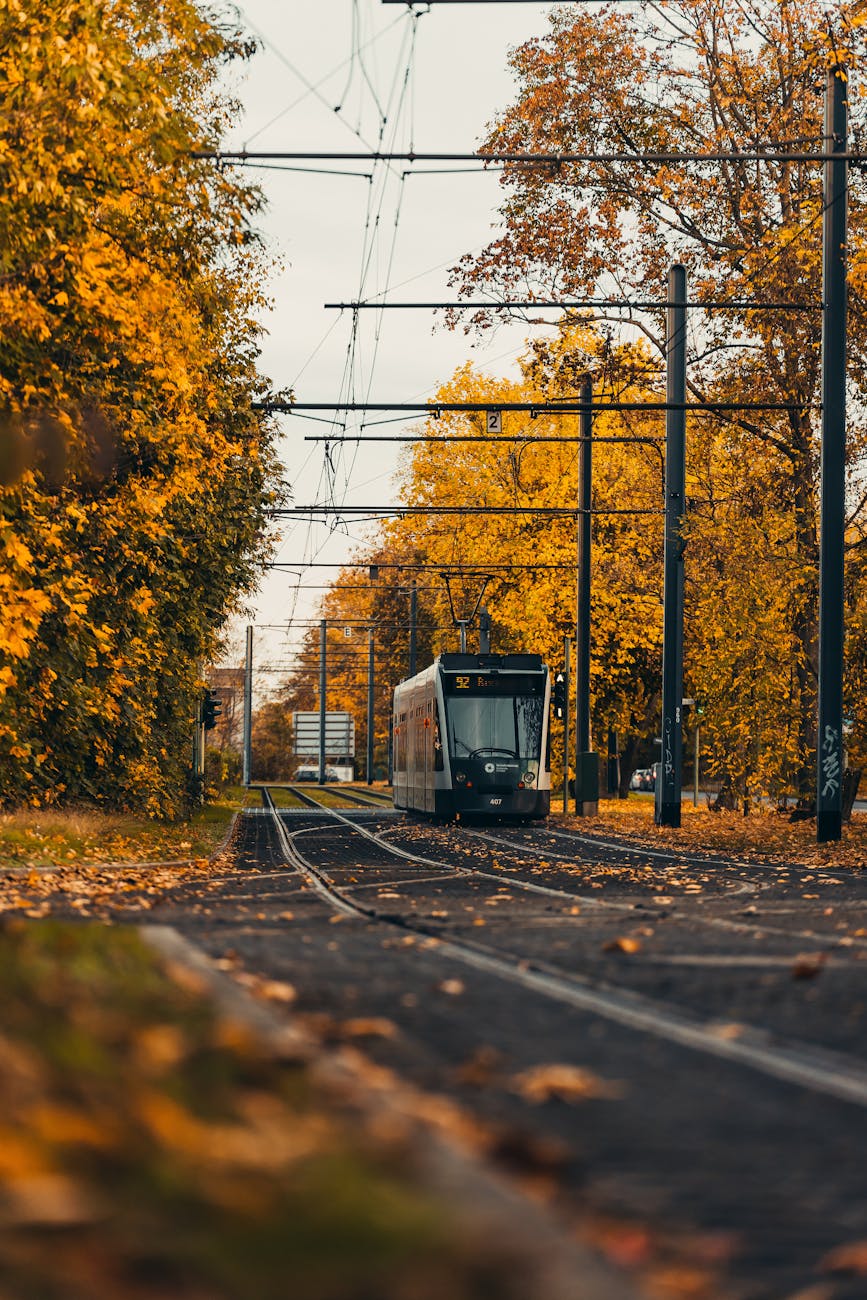 Local Context in Krakow, Poland