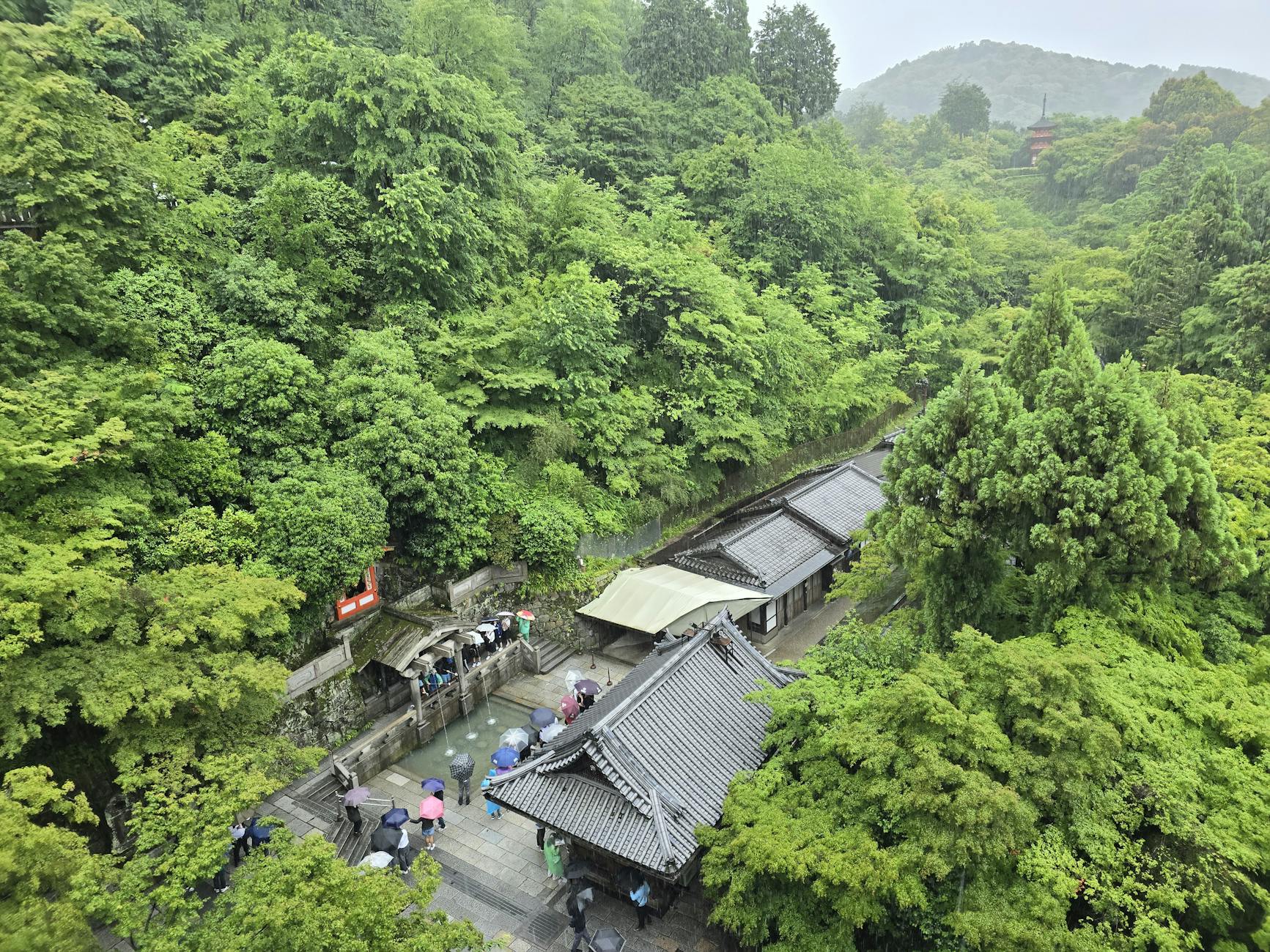 What This Page Helps You Decide in Kyoto, Japan