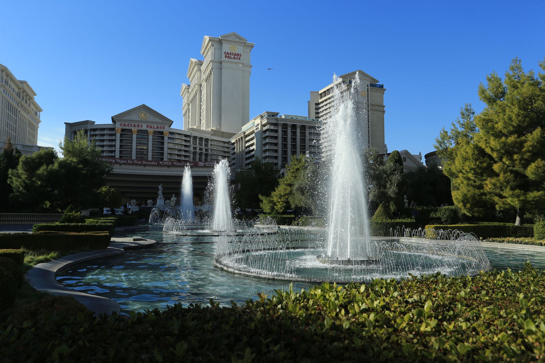 How to Choose Well in Las Vegas, United States