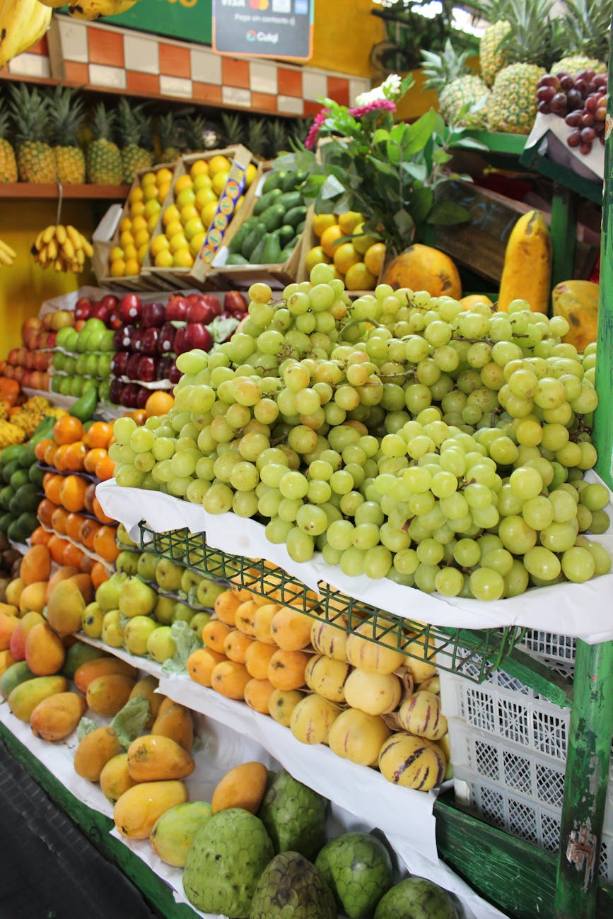 Top Recommendations in Lima, Peru