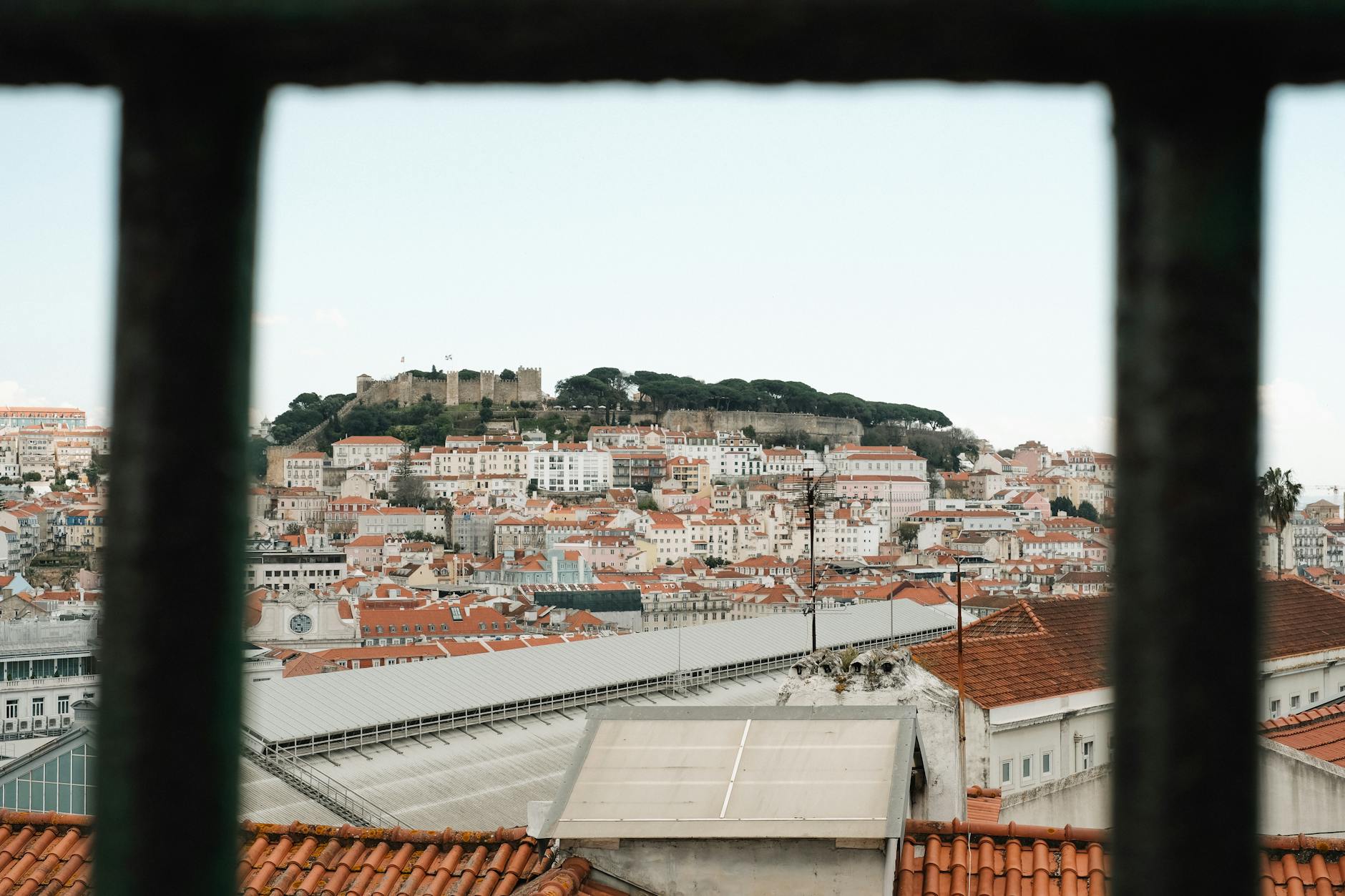 How to Choose Well in Lisbon, Portugal