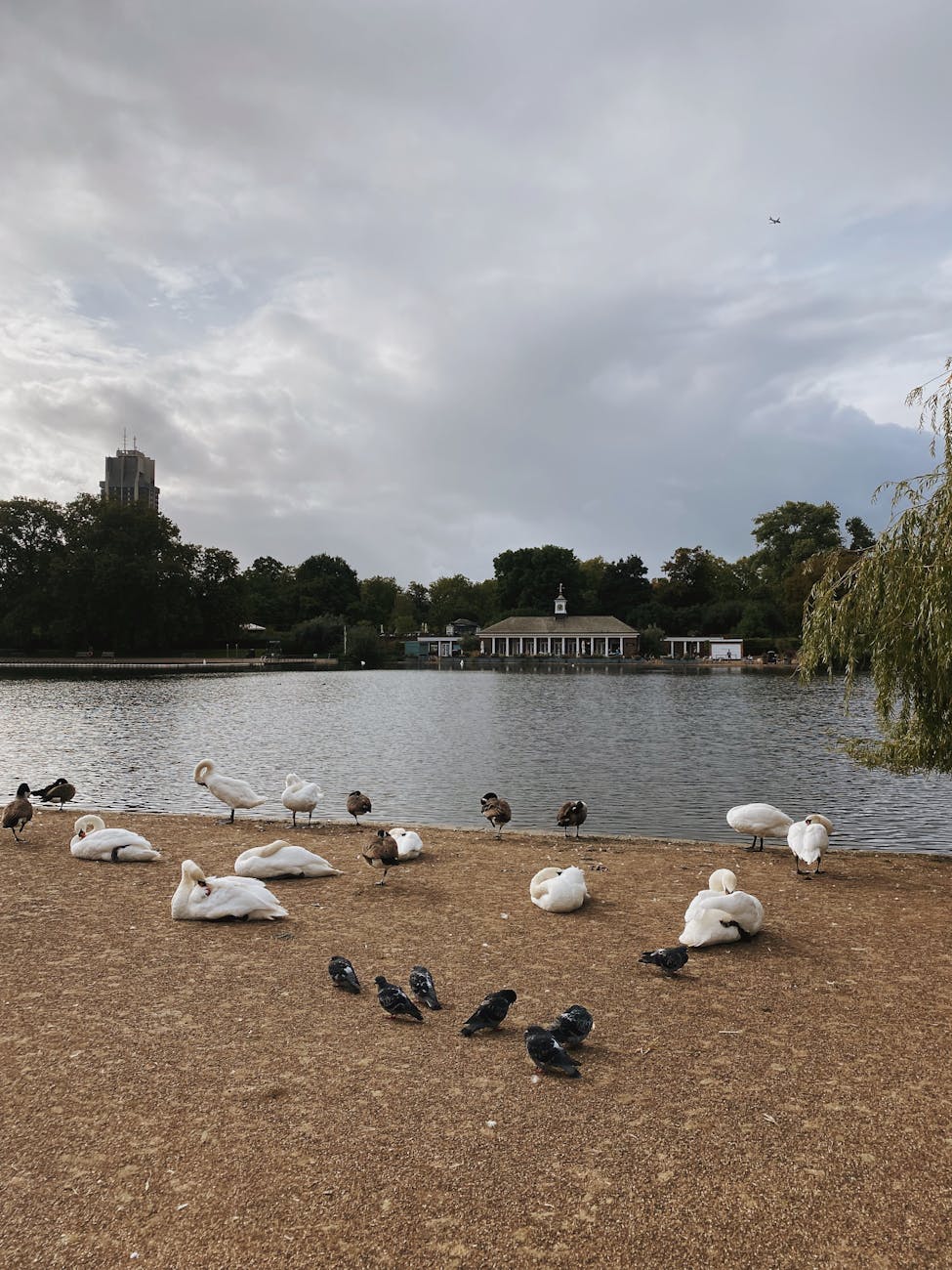 Local Context in London, United Kingdom