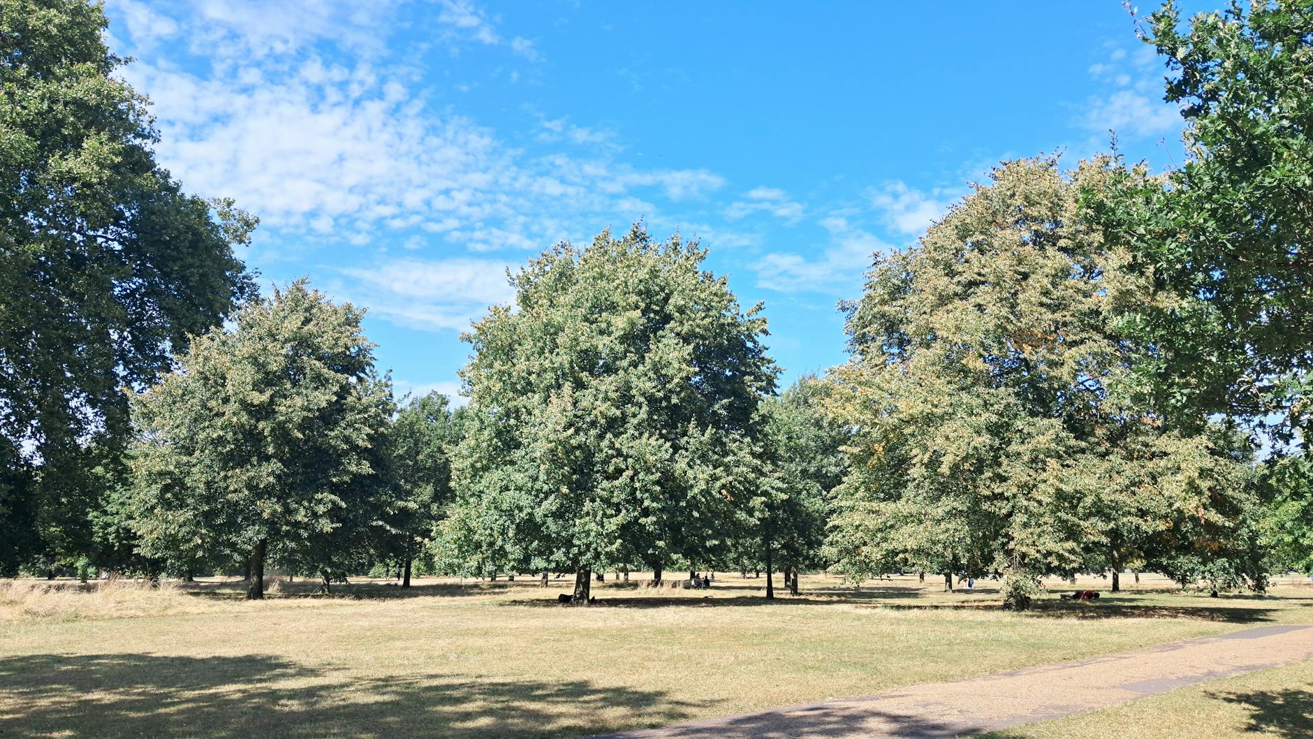 Local Context in London, United Kingdom