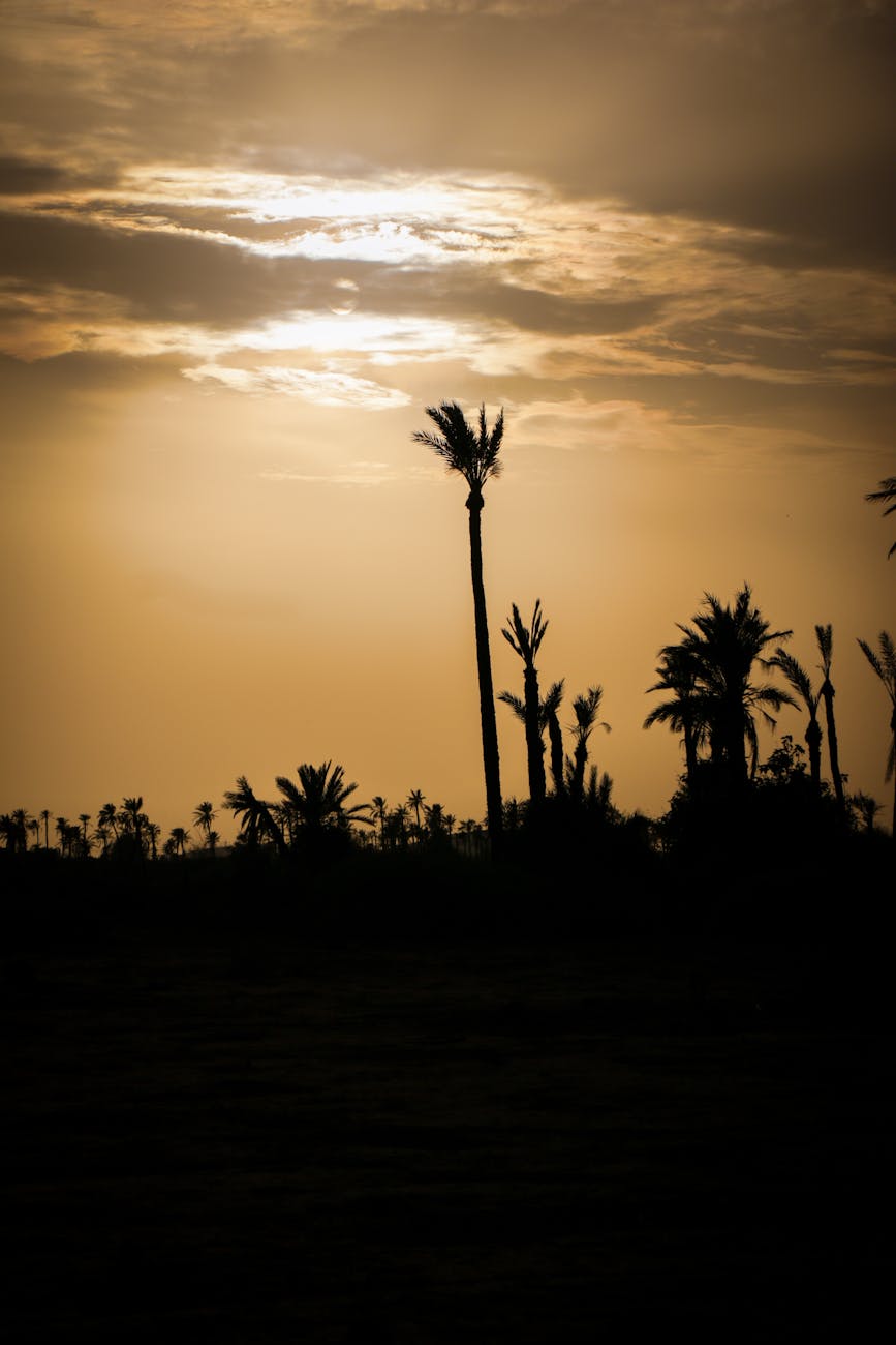 Local Context in Marrakesh, Morocco
