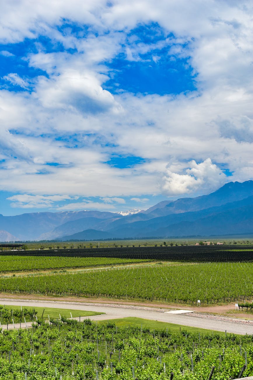Day 2 in Mendoza, Argentina