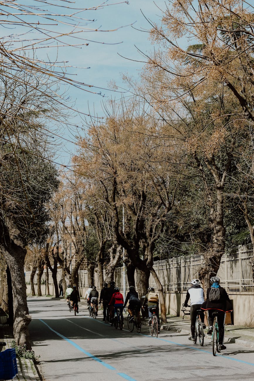 Top Recommendations in Mexico City, Mexico