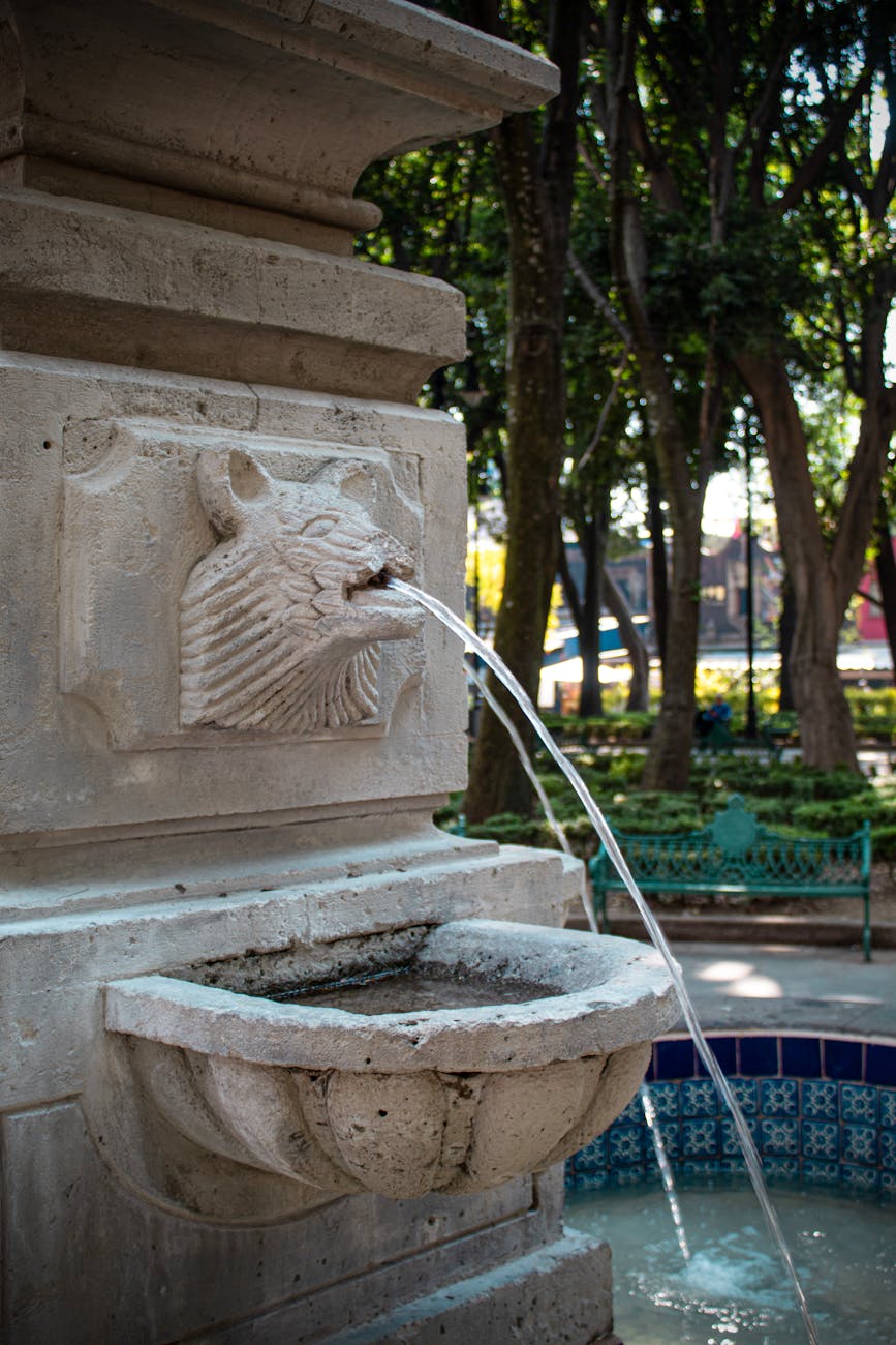 What This Page Helps You Decide in Mexico City, Mexico