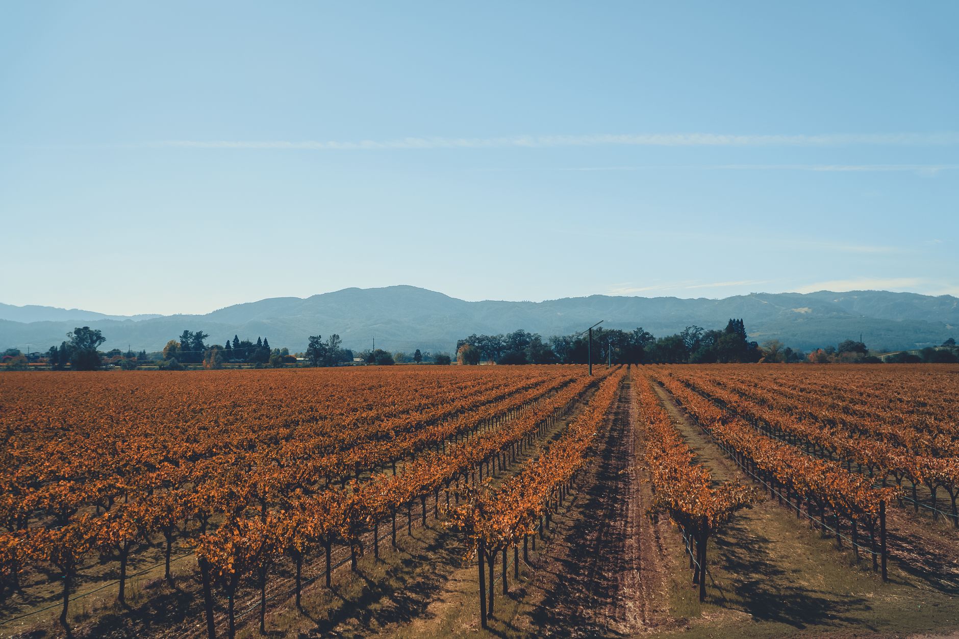 Napa, United States