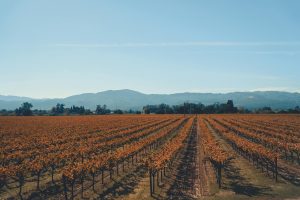 Napa, United States