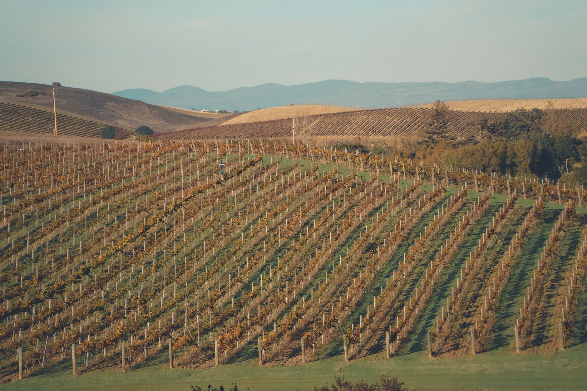 Why Visit in Napa, United States