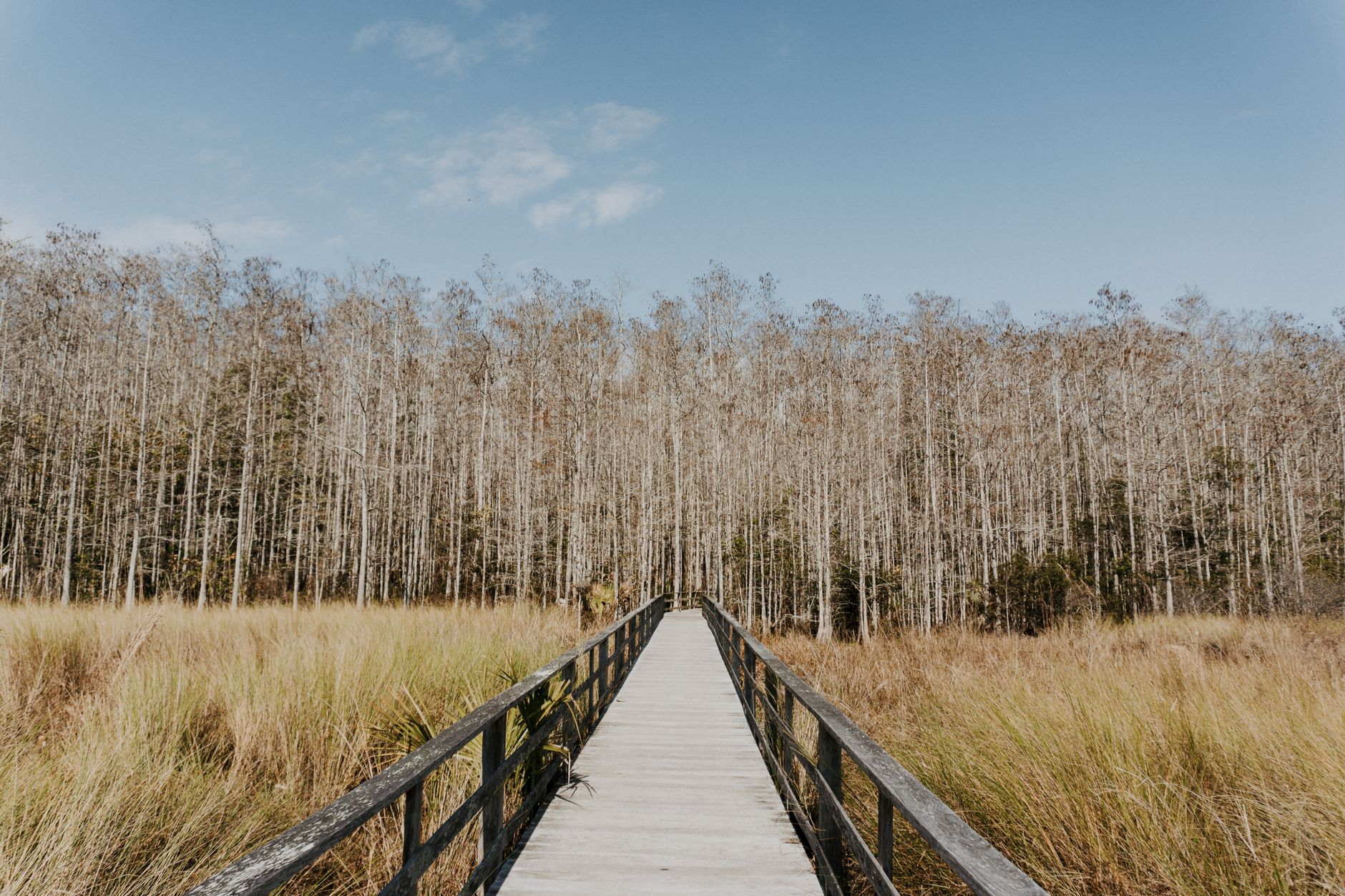 Best Local Experiences in Naples, United States