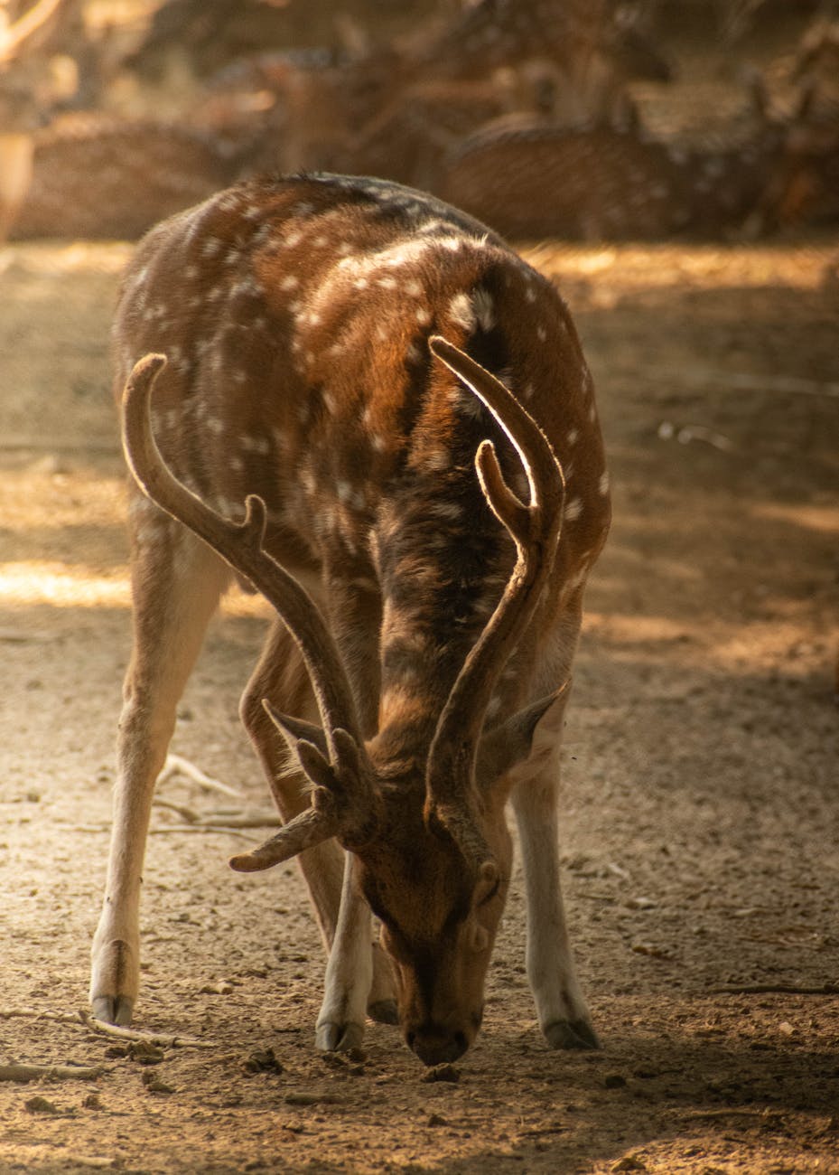 What This Page Helps You Decide in New Delhi, India