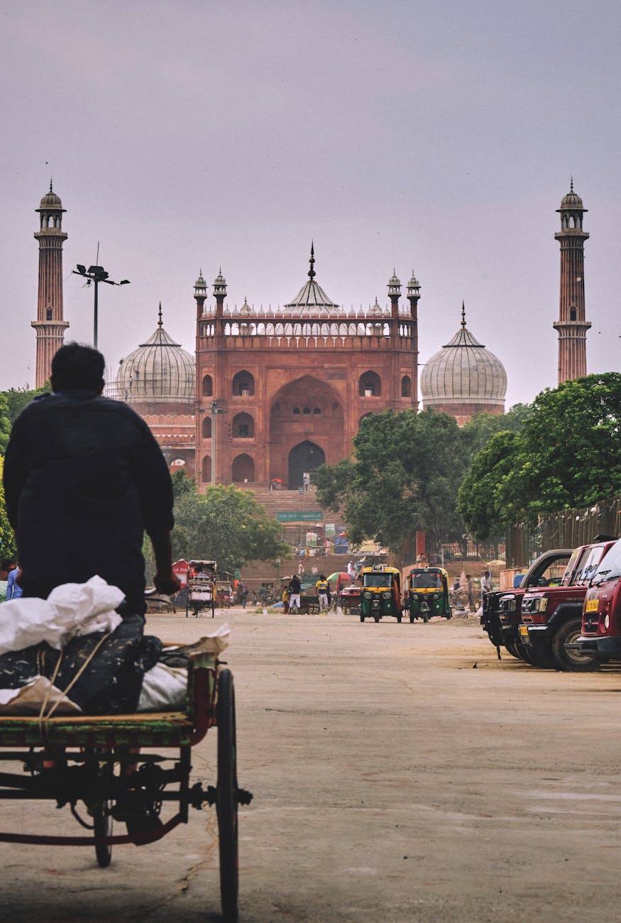 How to Choose Well in New Delhi, India