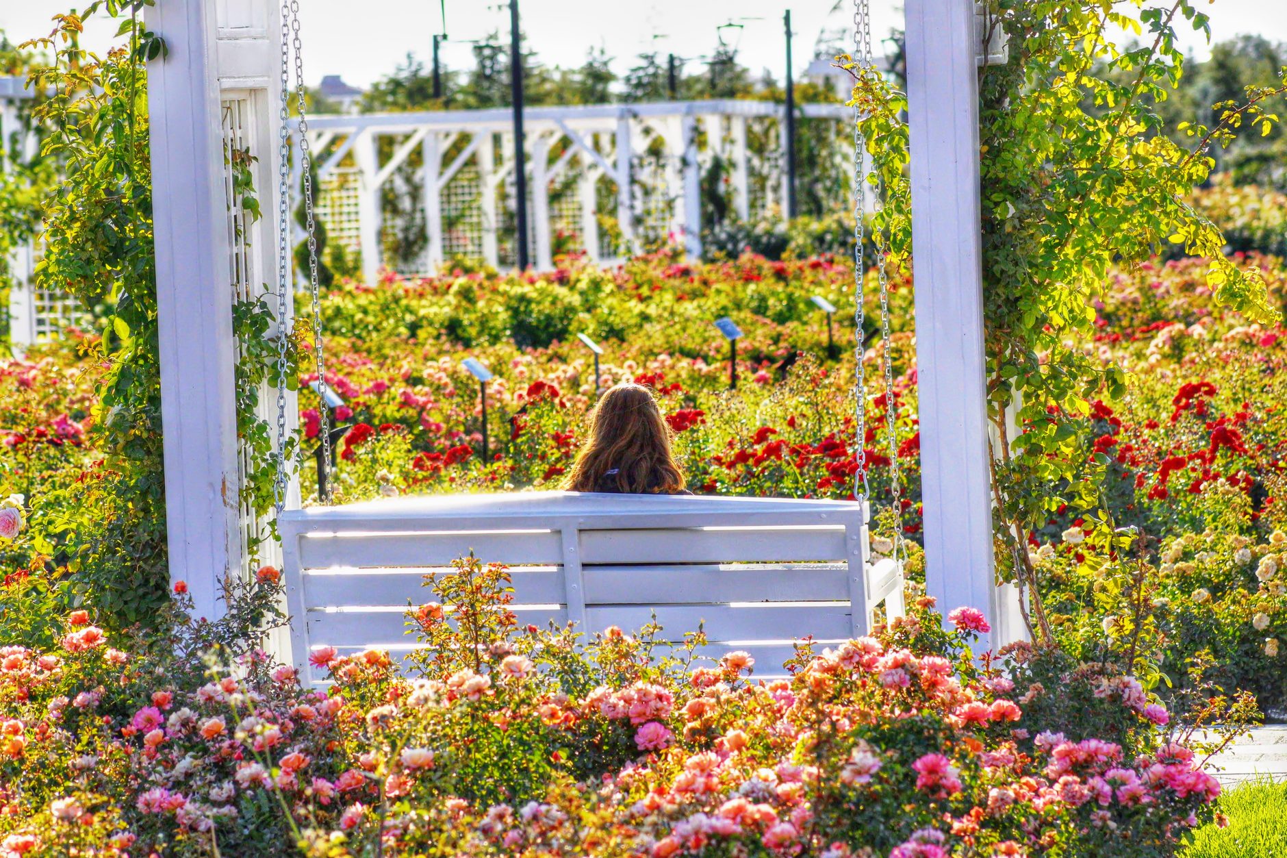Best Local Experiences in Omaha, United States