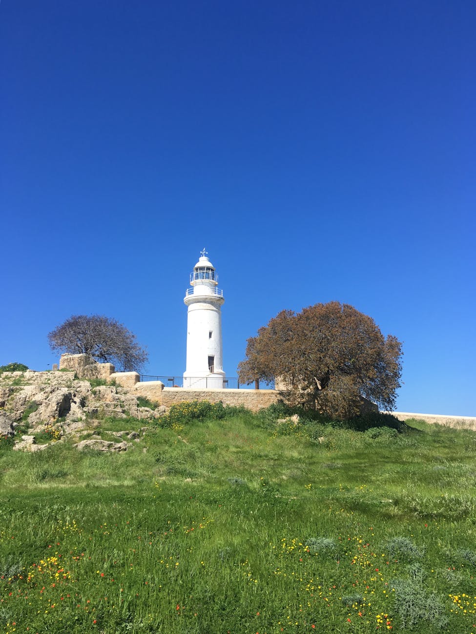 How to Choose Well in Paphos, Cyprus
