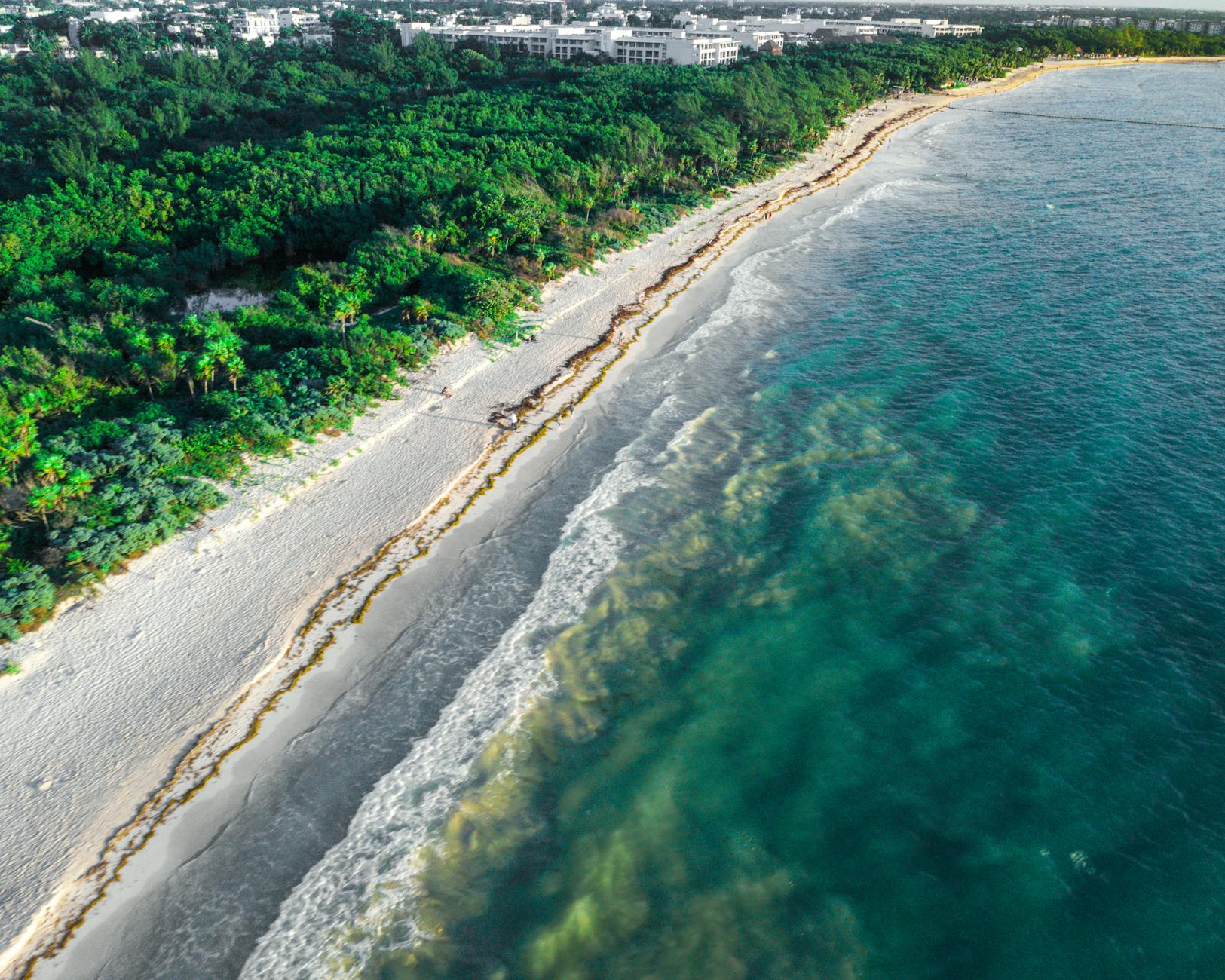 Responsible Travel in Playa del Carmen, Mexico