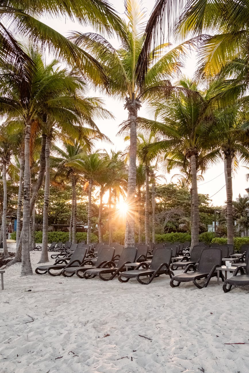 Top Recommendations in Playa del Carmen, Mexico