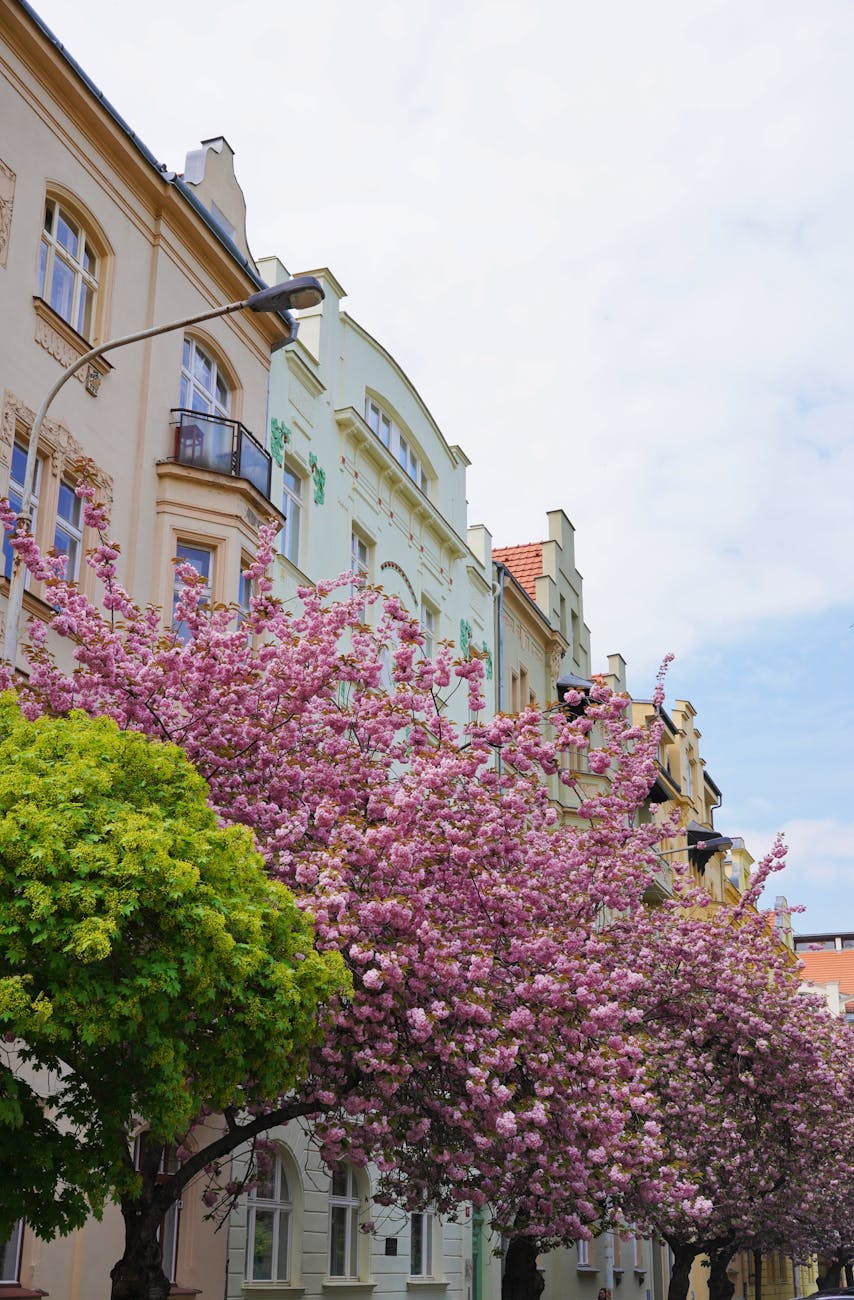 Top Recommendations in Prague, Czech Republic