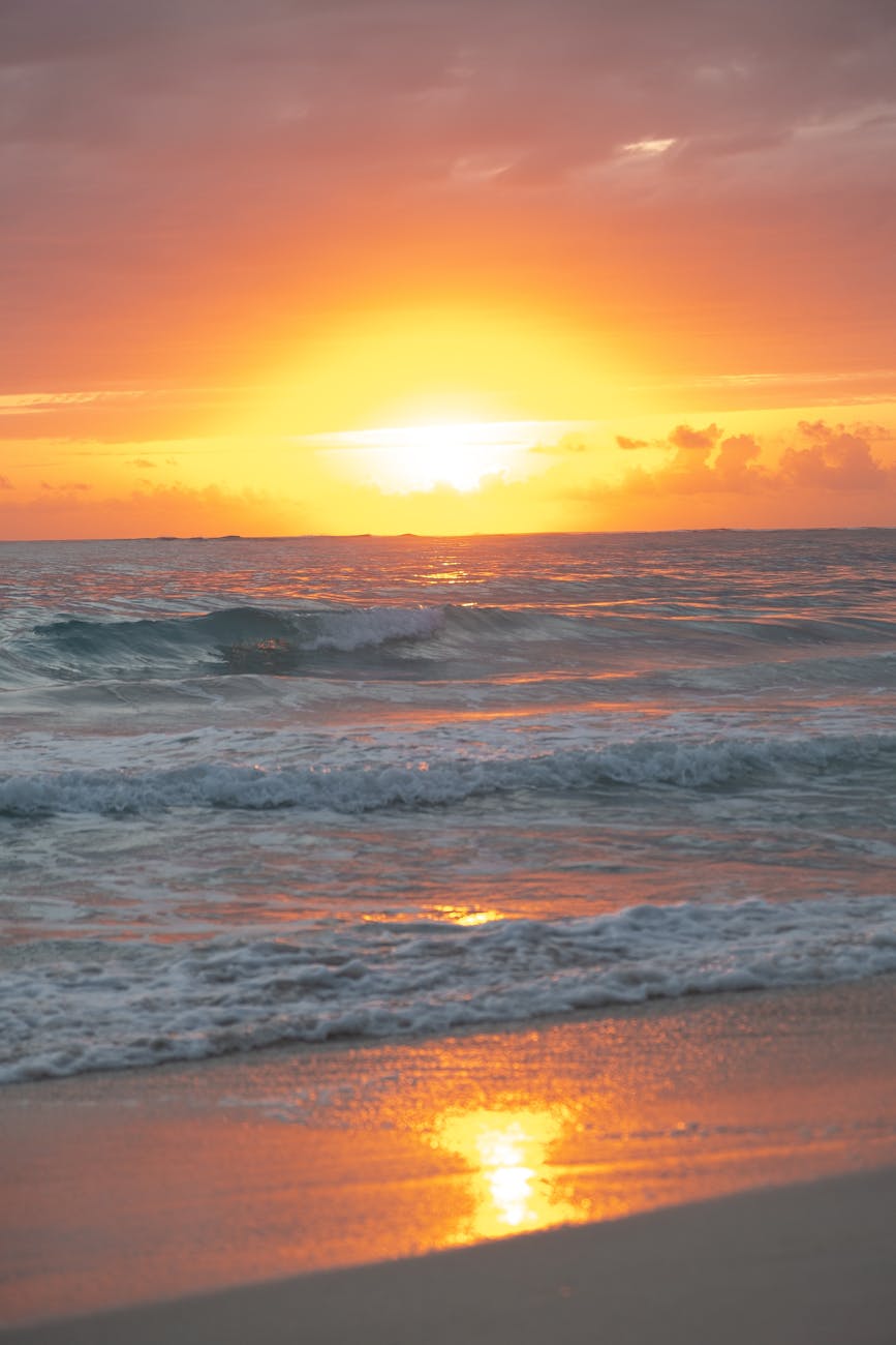 How to Choose Well in Punta Cana, Dominican Republic