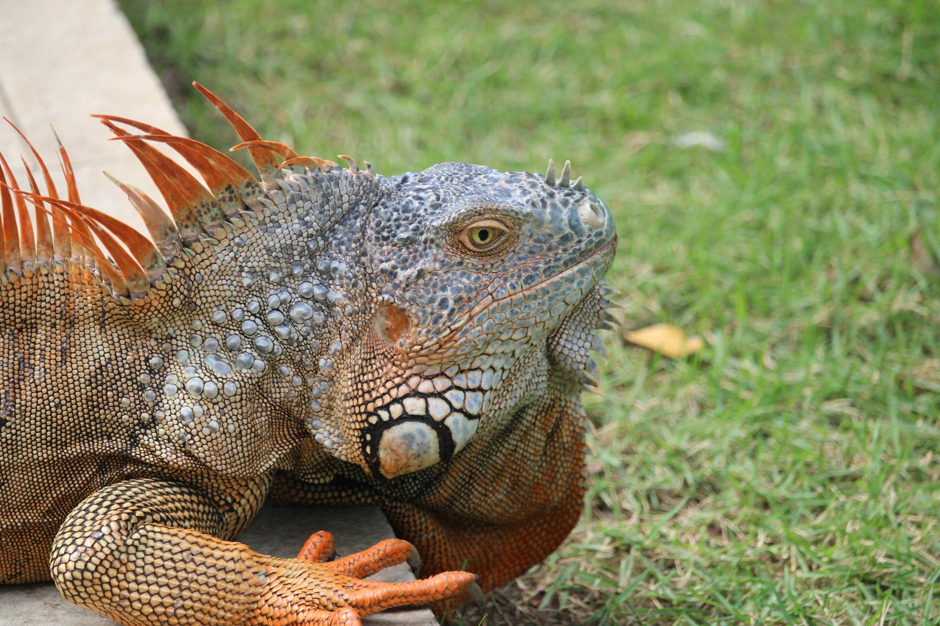 How to Choose Well in Punta Cana, Dominican Republic