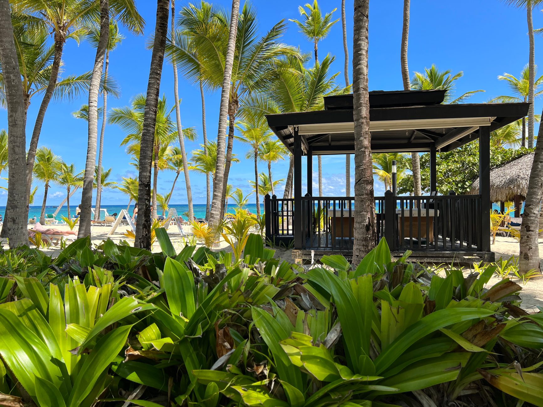 Local Context in Punta Cana, Dominican Republic