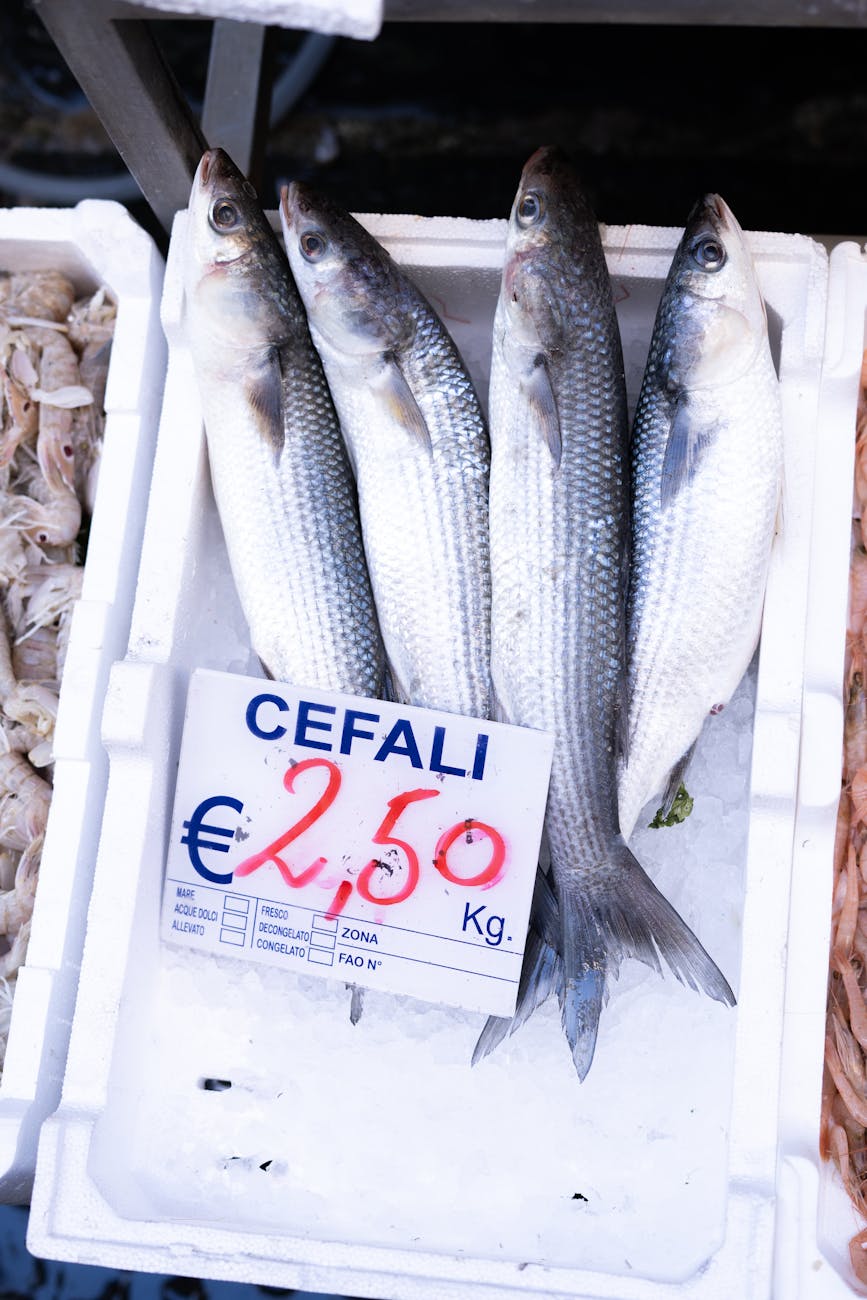 Responsible and Local-First Tips in Rimini, Italy