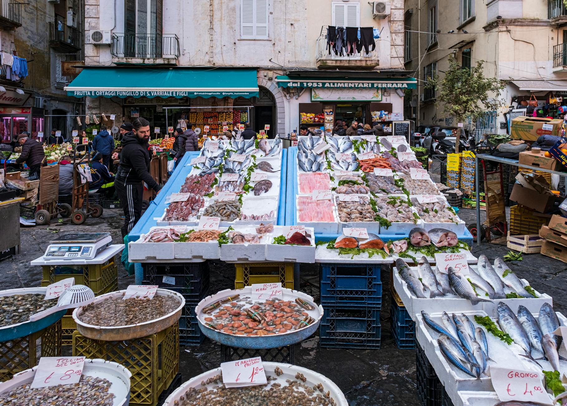 Responsible and Local-First Tips in Rimini, Italy