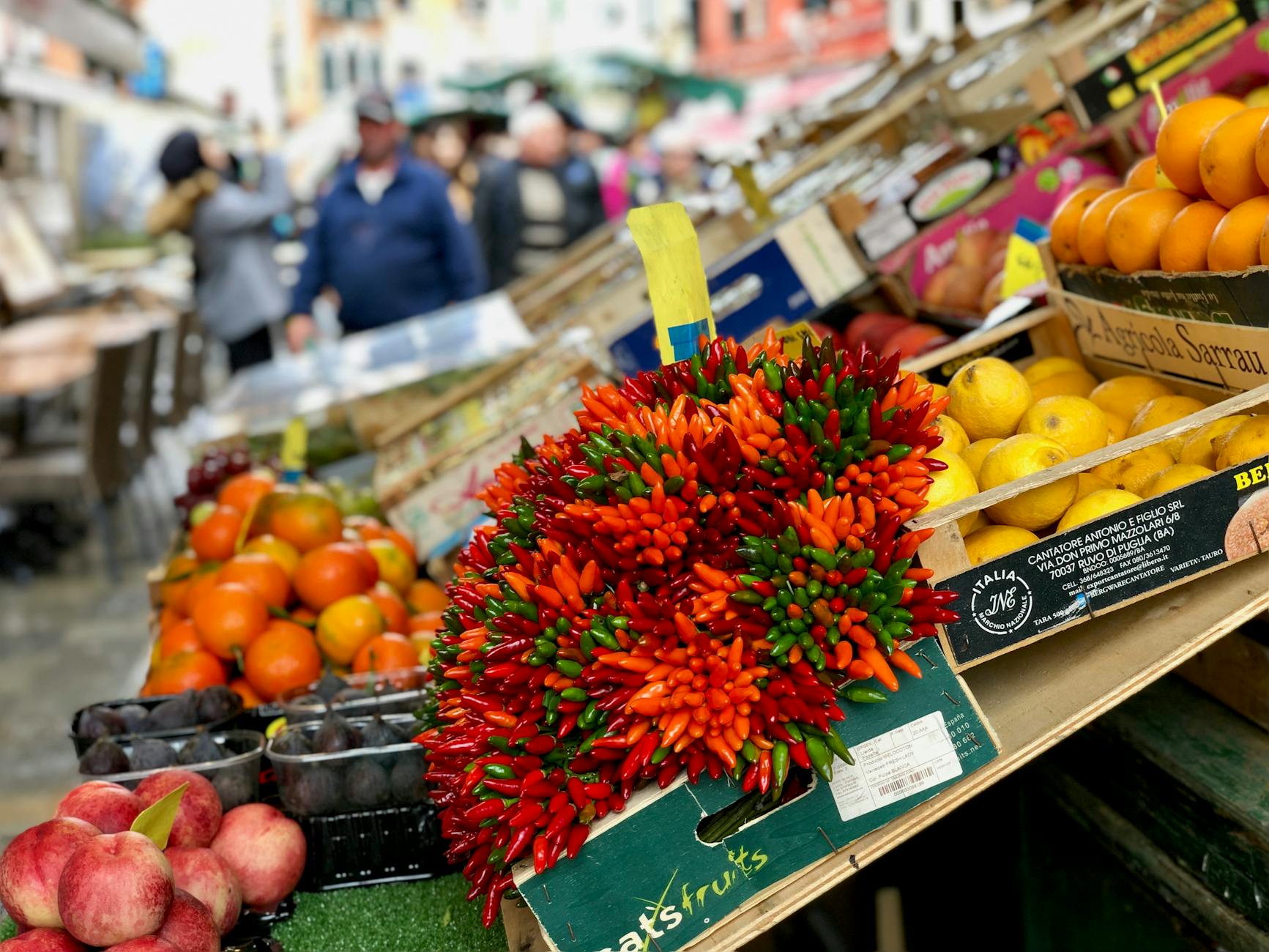 Responsible and Local-First Tips in Rimini, Italy