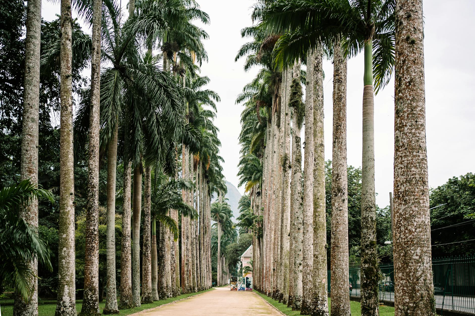 How to Choose Well in Rio de Janeiro, Brazil