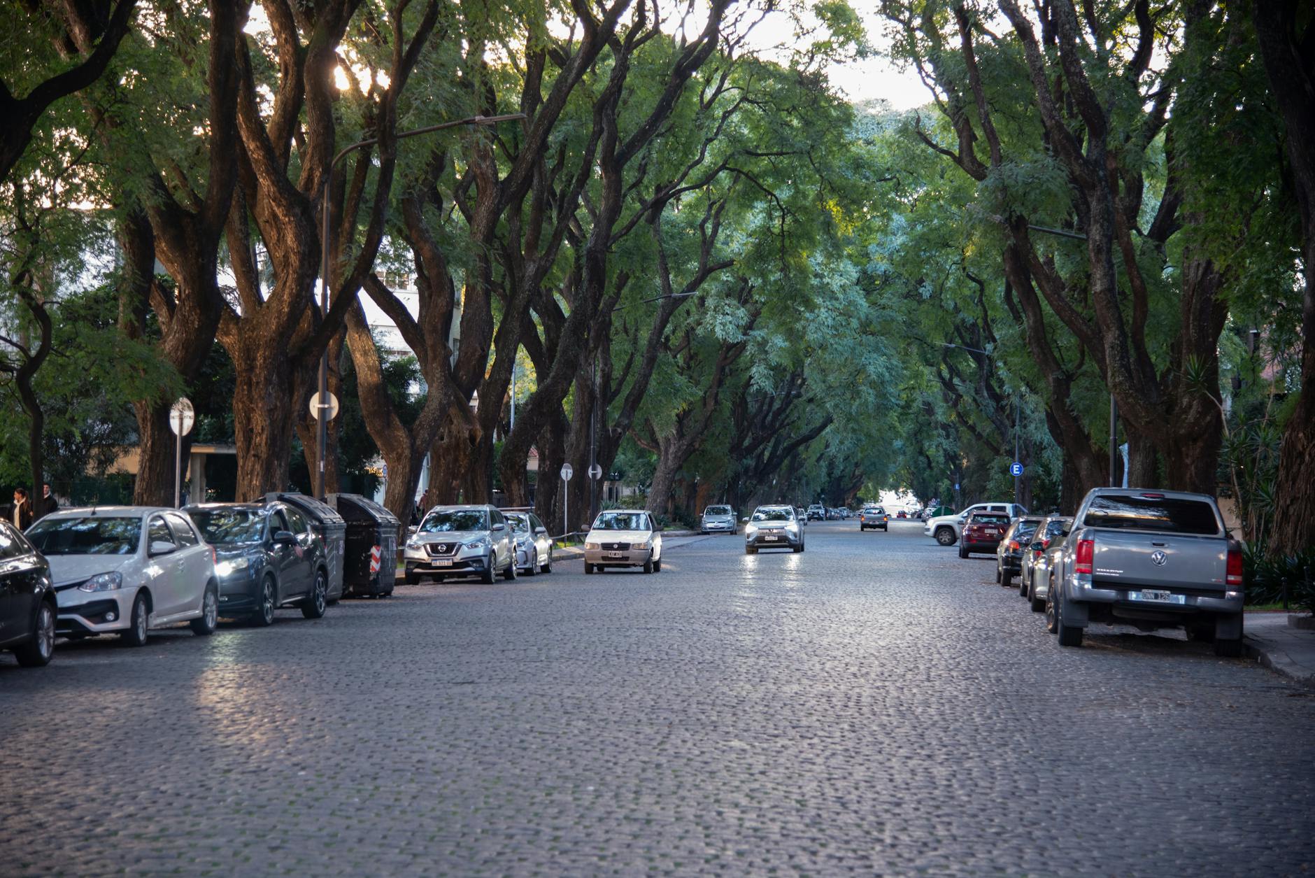 Local Context in Santiago, Chile